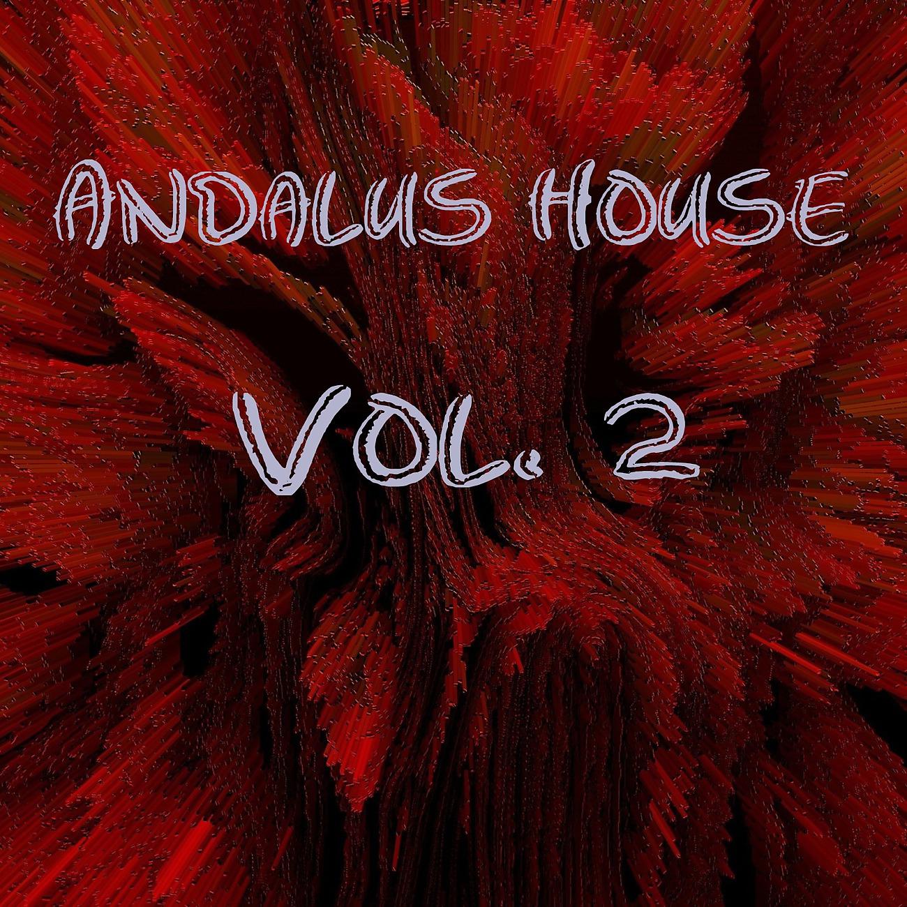 Постер альбома Andalus House, Vol. 2
