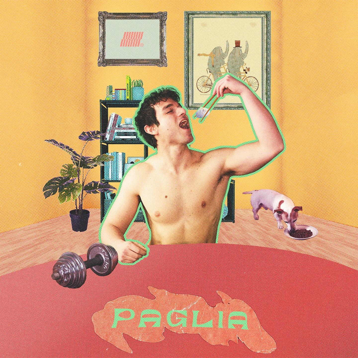 Постер альбома Paglia