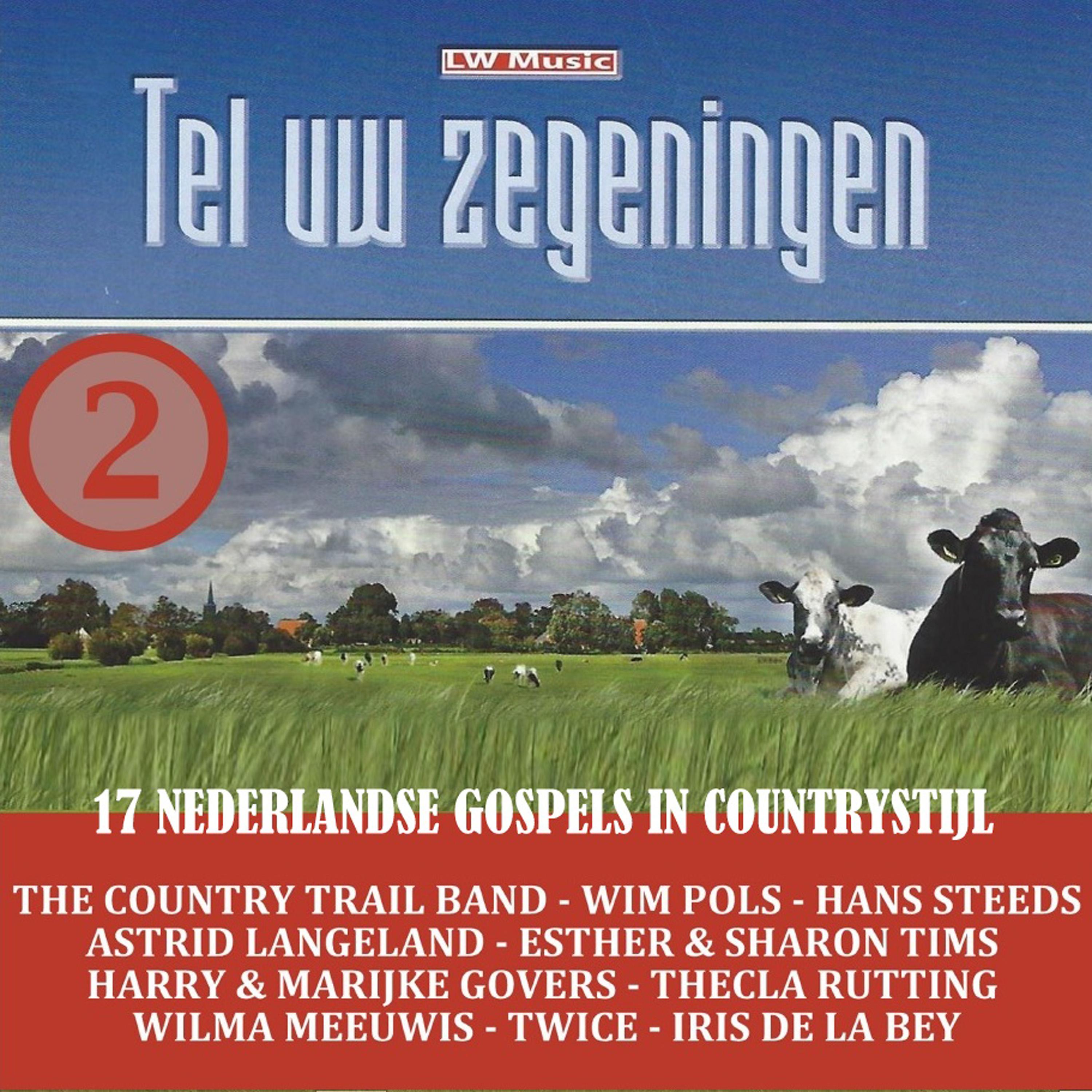Постер альбома Tel uw Zegeningen, Vol. 2