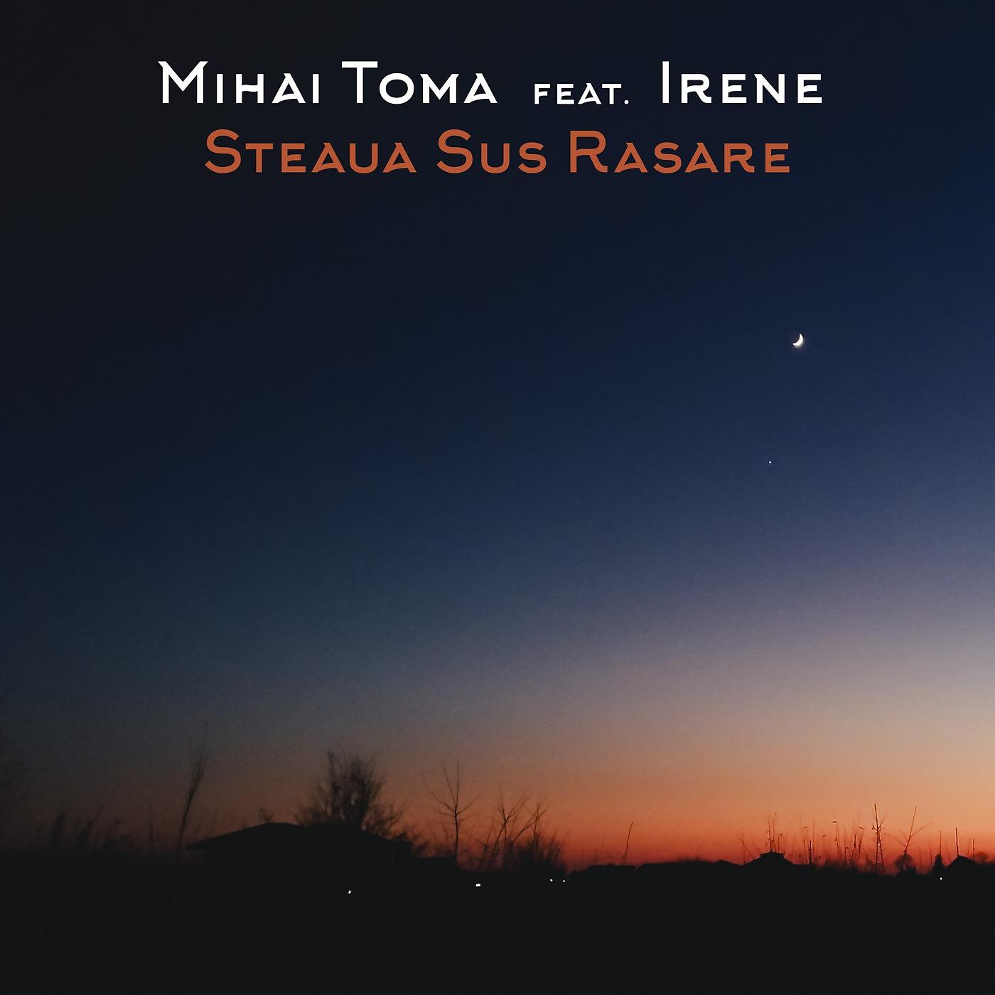 Постер альбома Steaua Sus Rasare (feat. Irene)