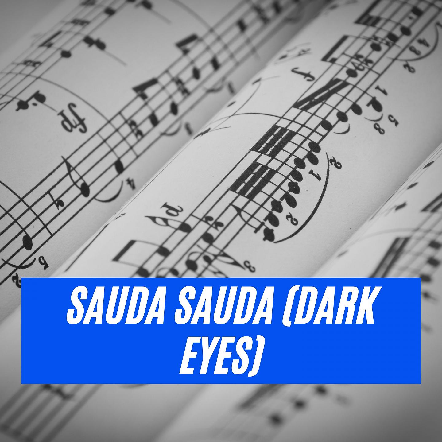 Постер альбома Sauda Sauda (Dark Eyes)