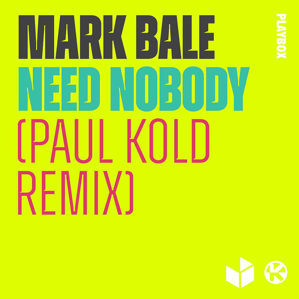 Постер альбома Need Nobody (Paul Kold Remix)