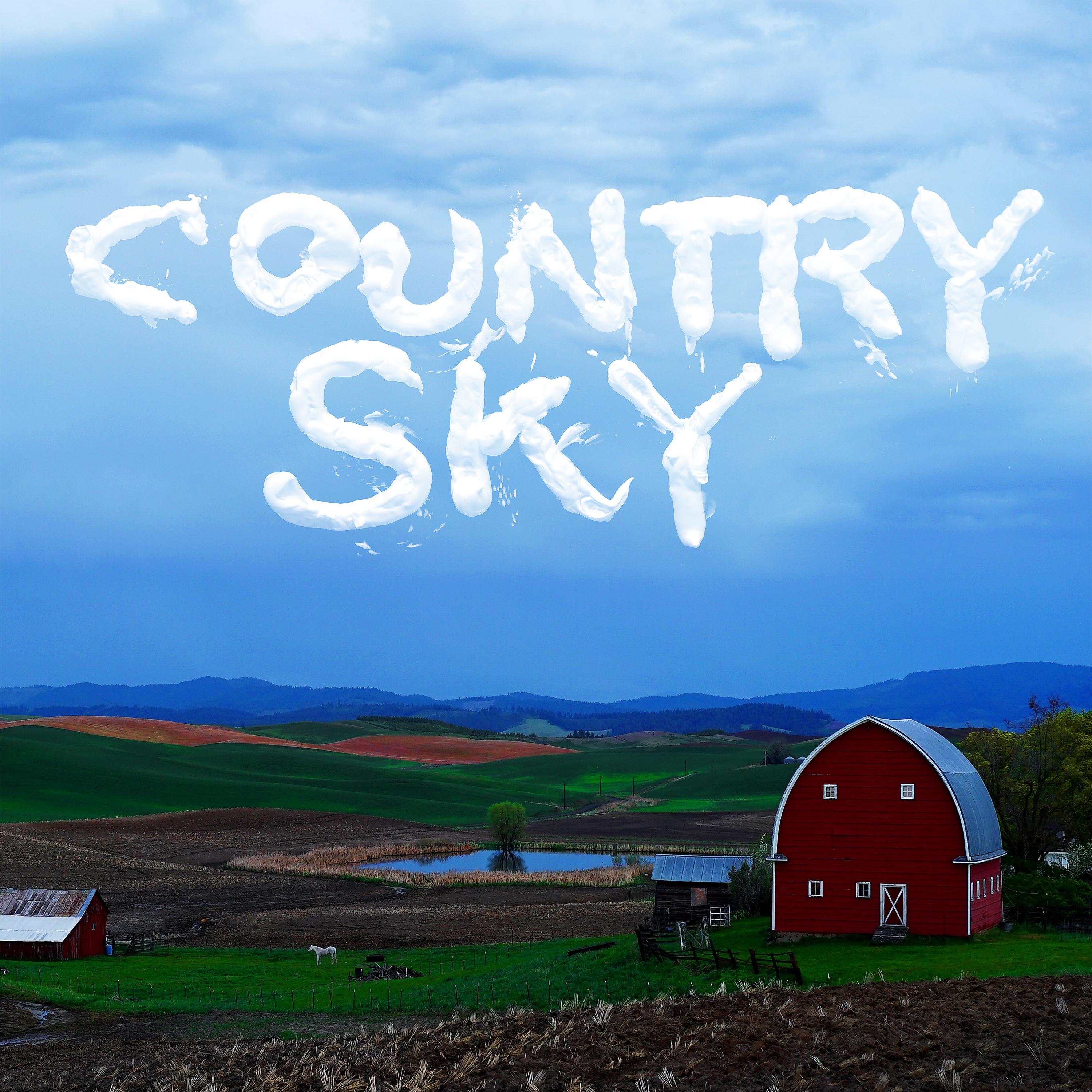Постер альбома Country Sky