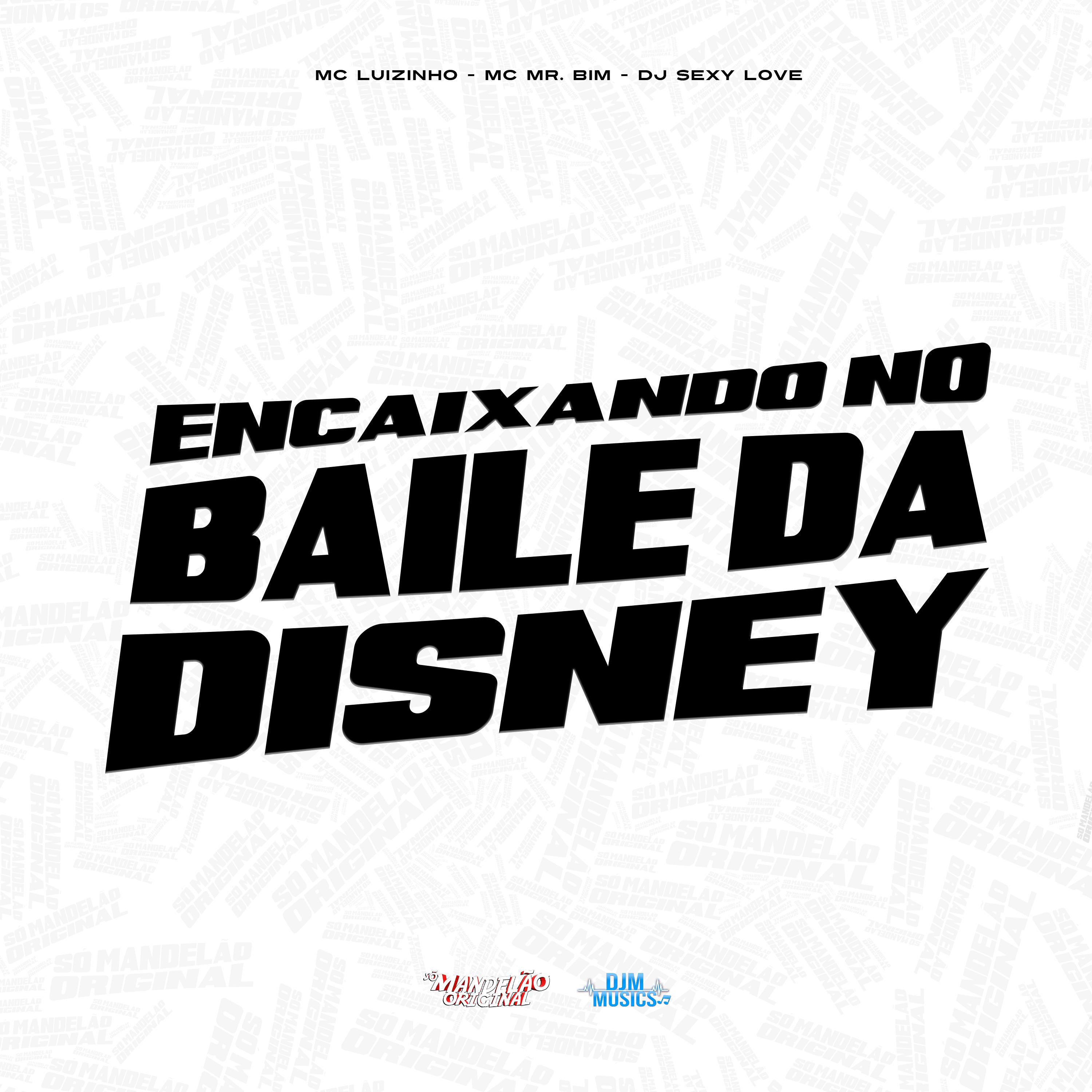 Постер альбома Encaixando no Baile da Disney