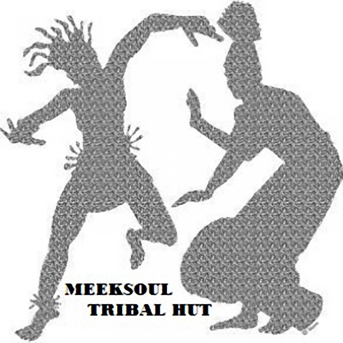 Постер альбома Tribal Hut