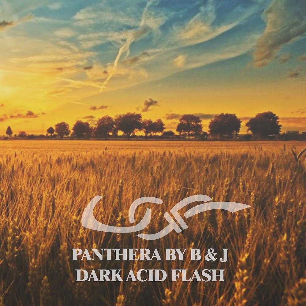 Постер альбома Dark Acid Flash