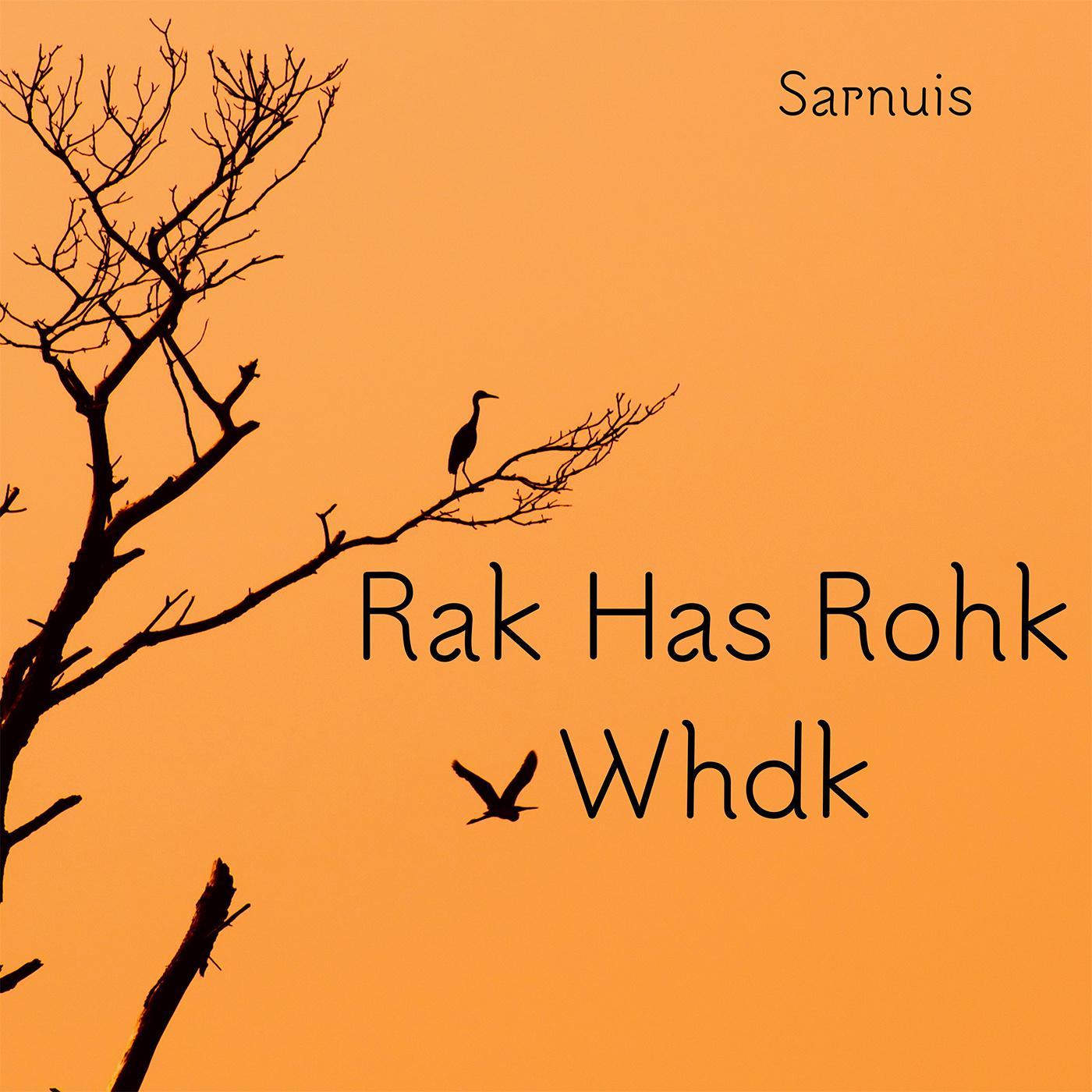 Постер альбома Rak Has Rohk Whdk