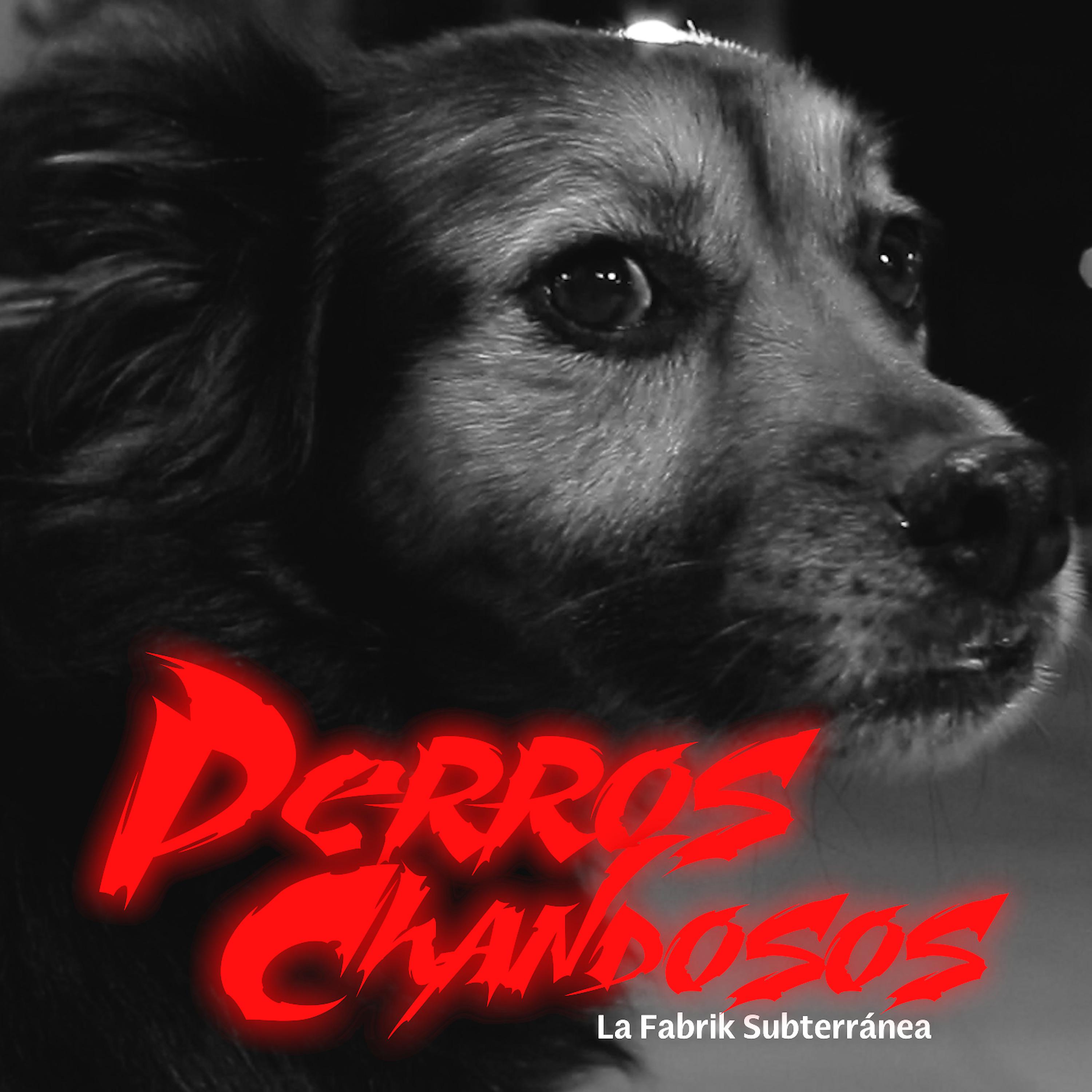 Постер альбома Perros Chandosos