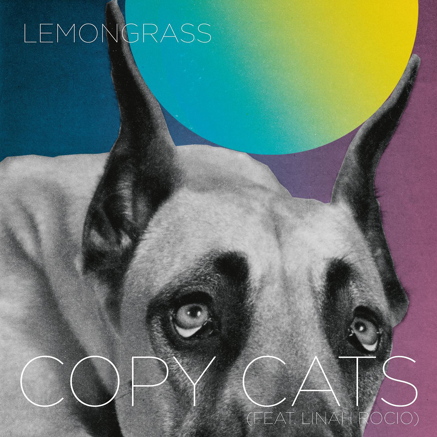 Постер альбома Copy Cats