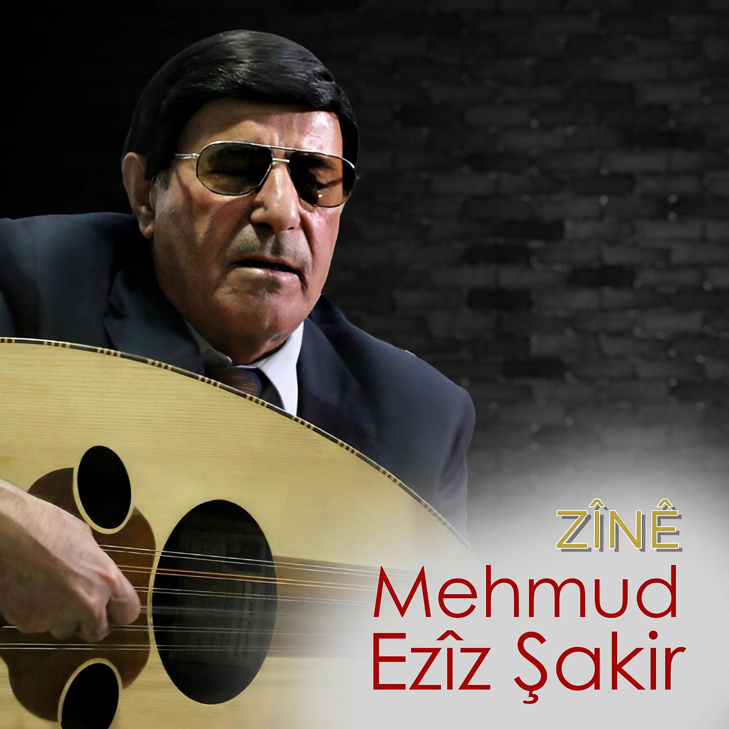 Постер альбома Zînê
