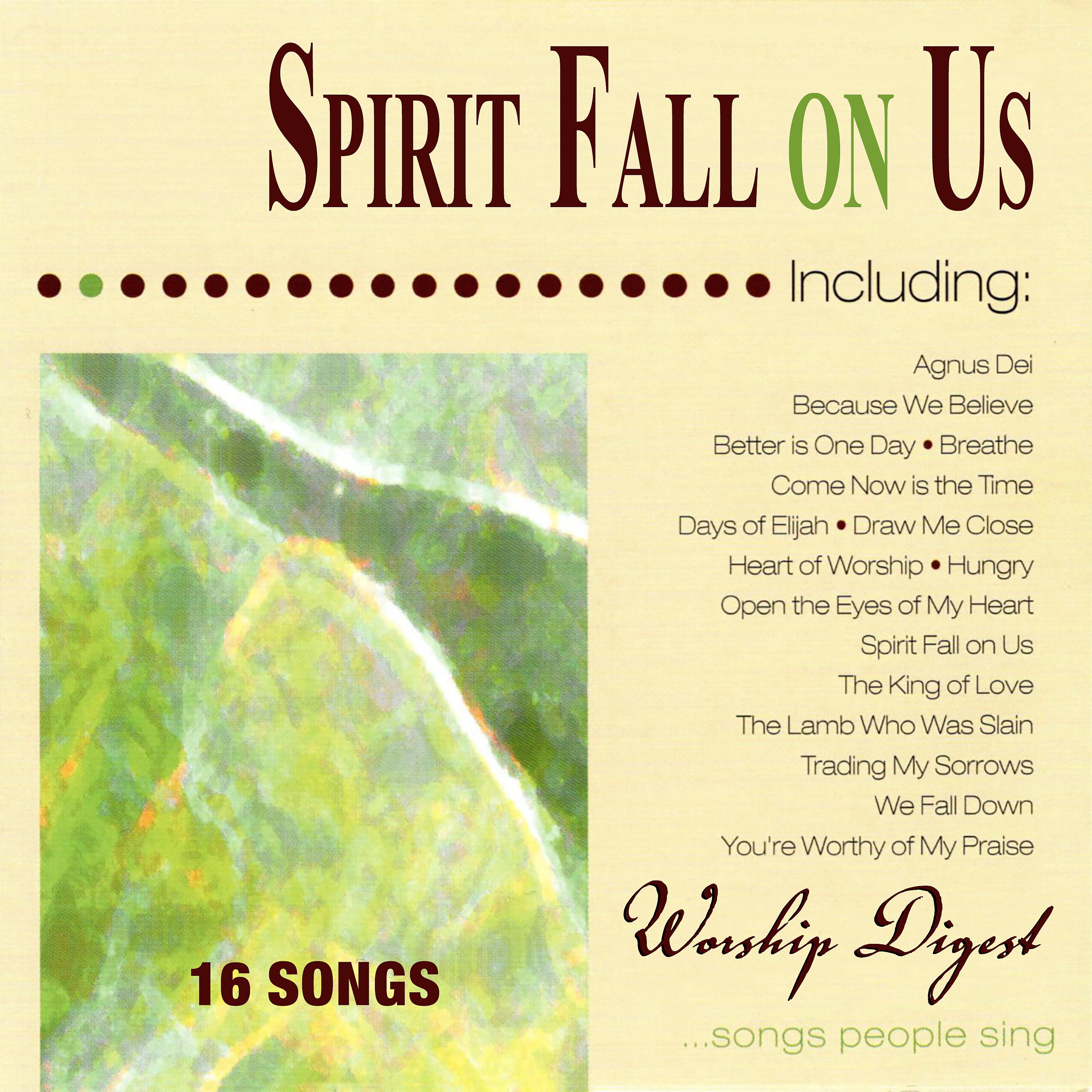 Постер альбома Spirit Fall on Us (Whole Hearted Worship)