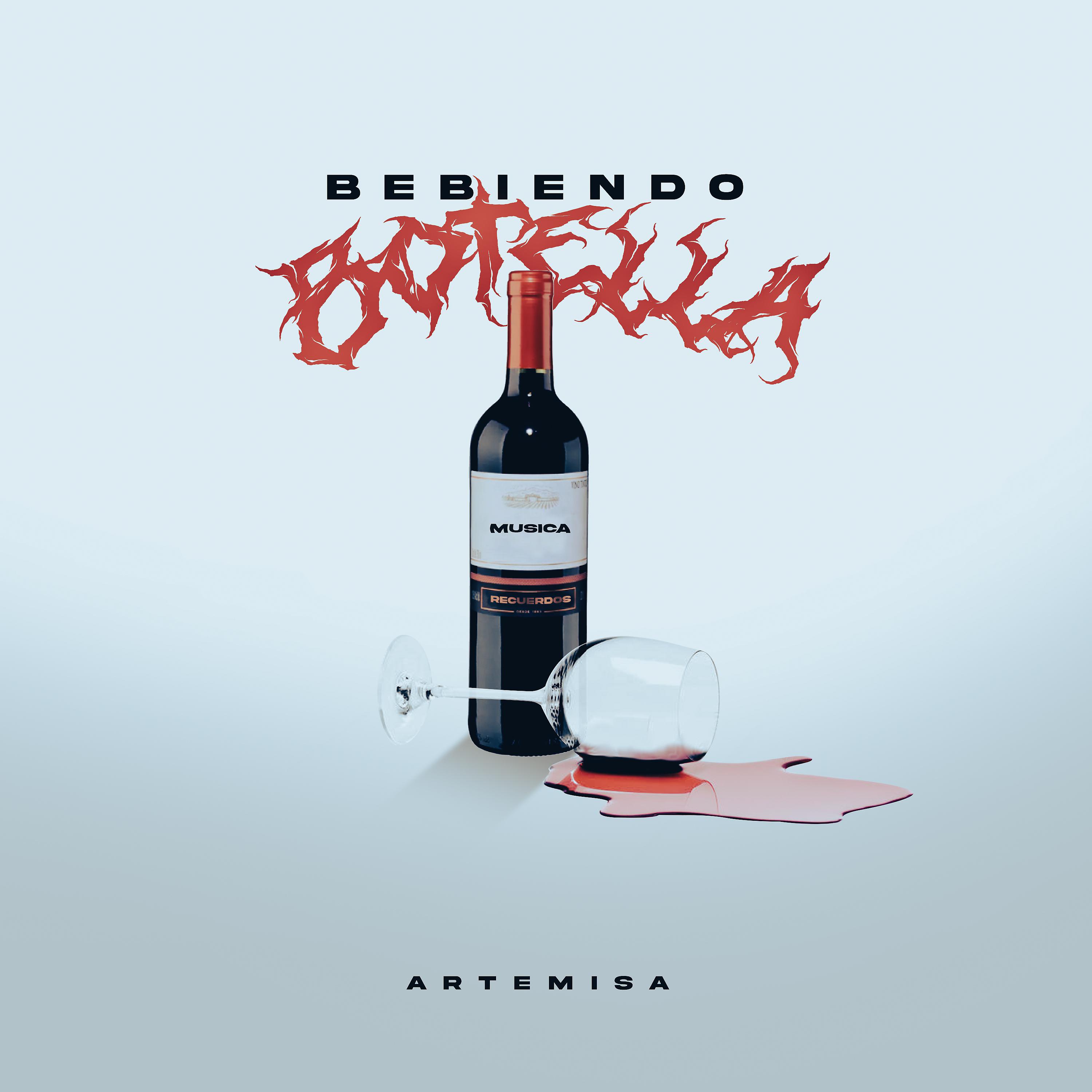 Постер альбома Bebiendo Botella