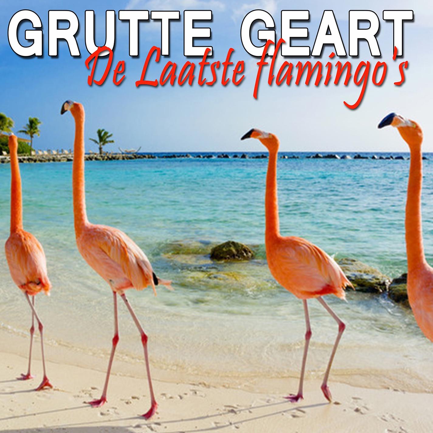 Постер альбома De Laatste Flamingo's