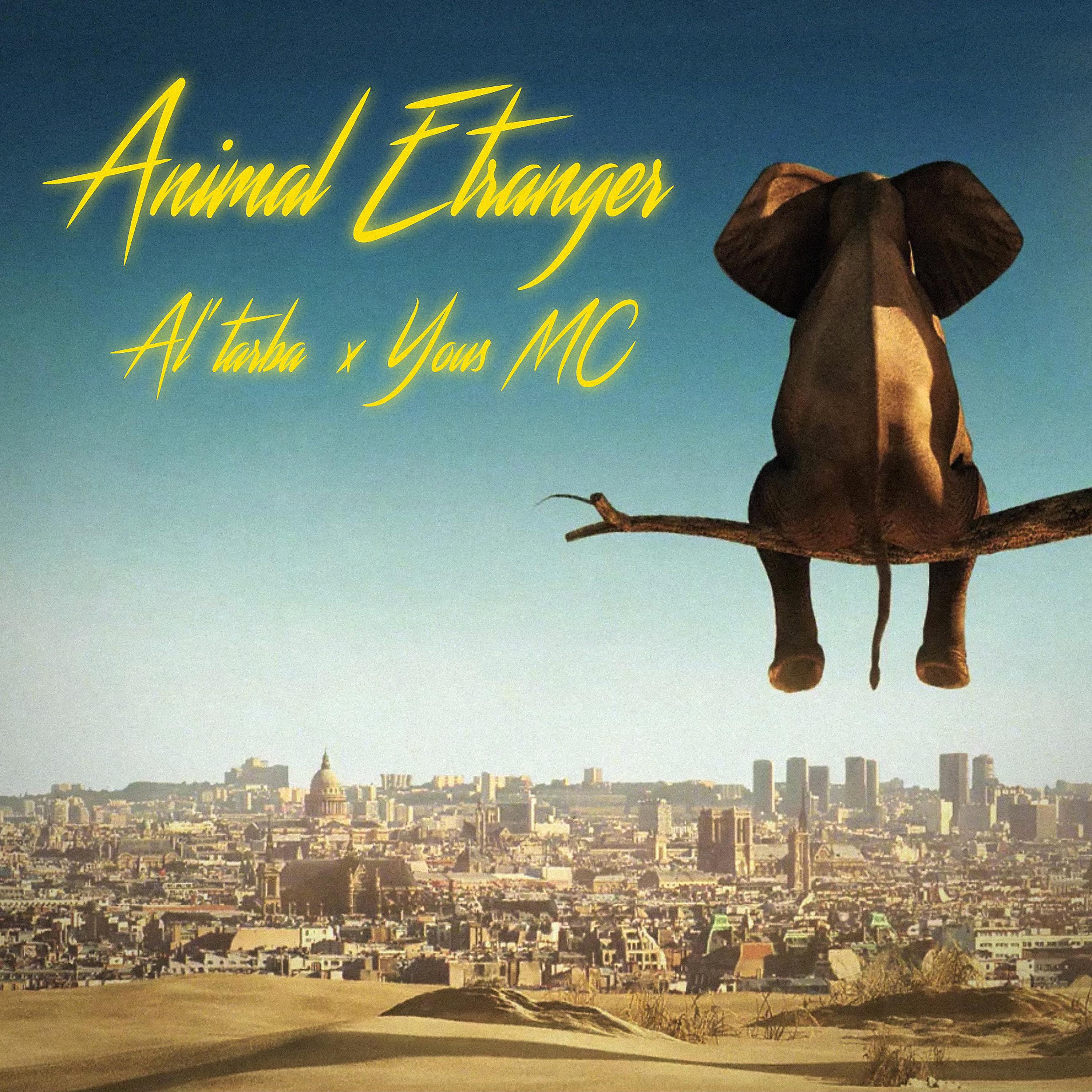 Постер альбома Animal Étranger (Cdc04)