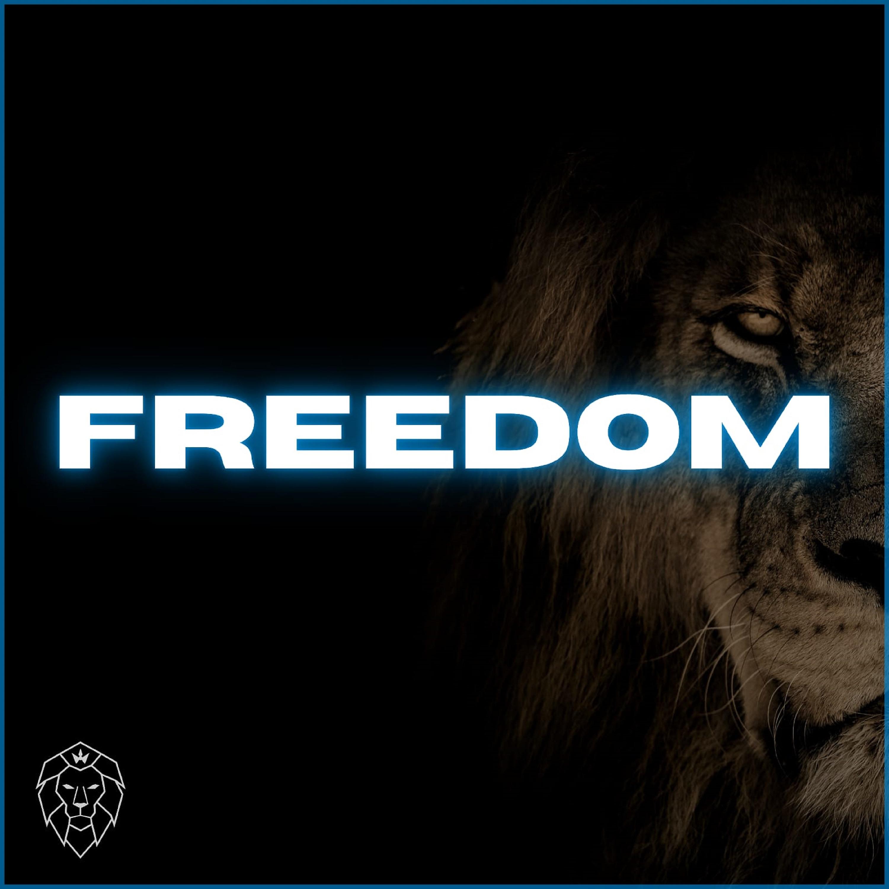 Постер альбома Freedom (Radio Mix)