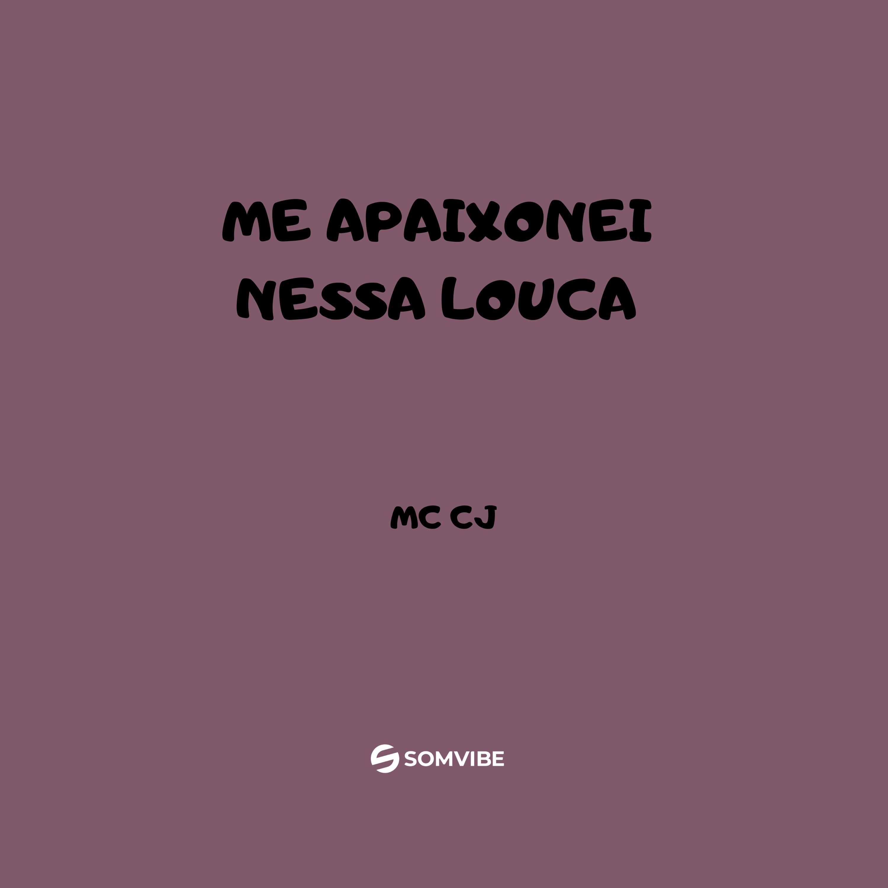 Постер альбома Me Apaixonei Nessa Louca