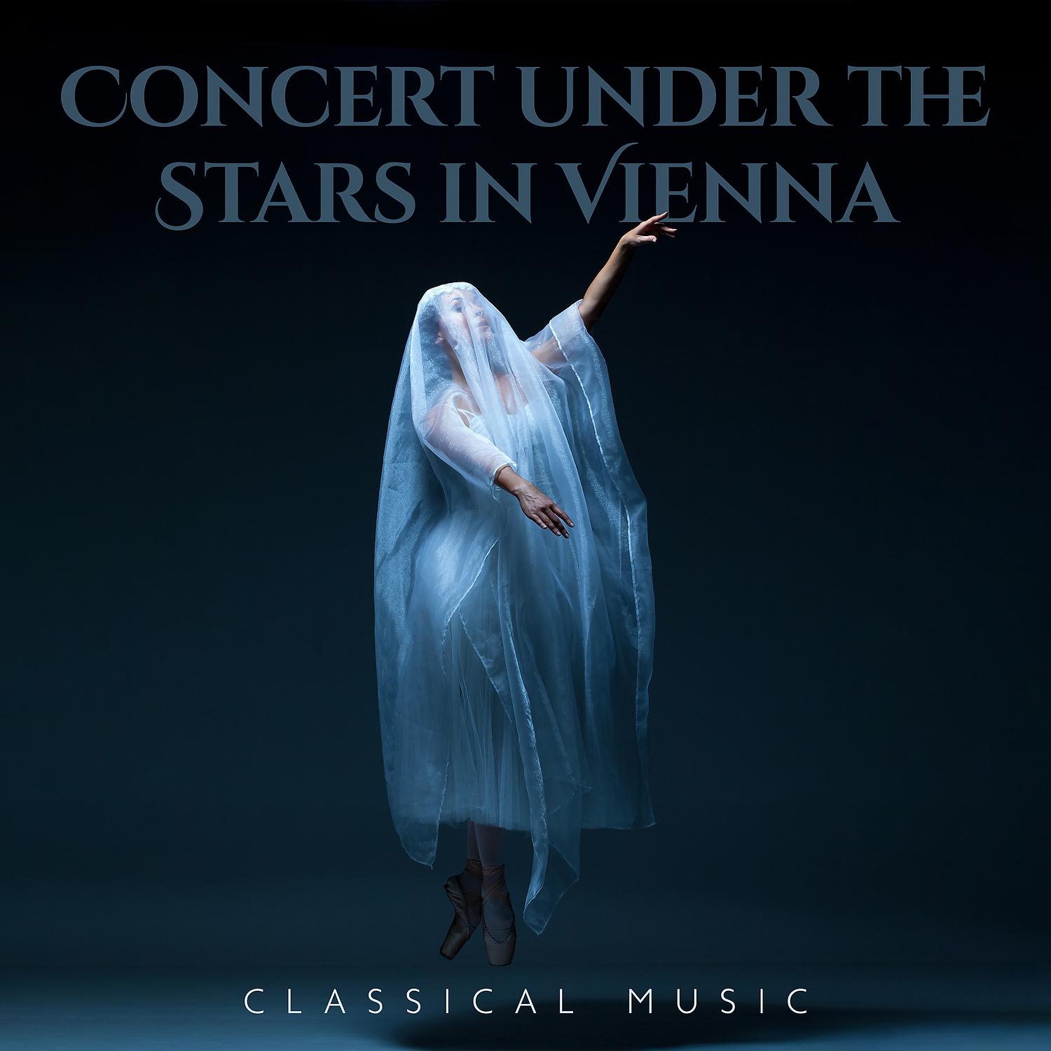 Постер альбома Concert under the Stars in Vienna – Classical Music