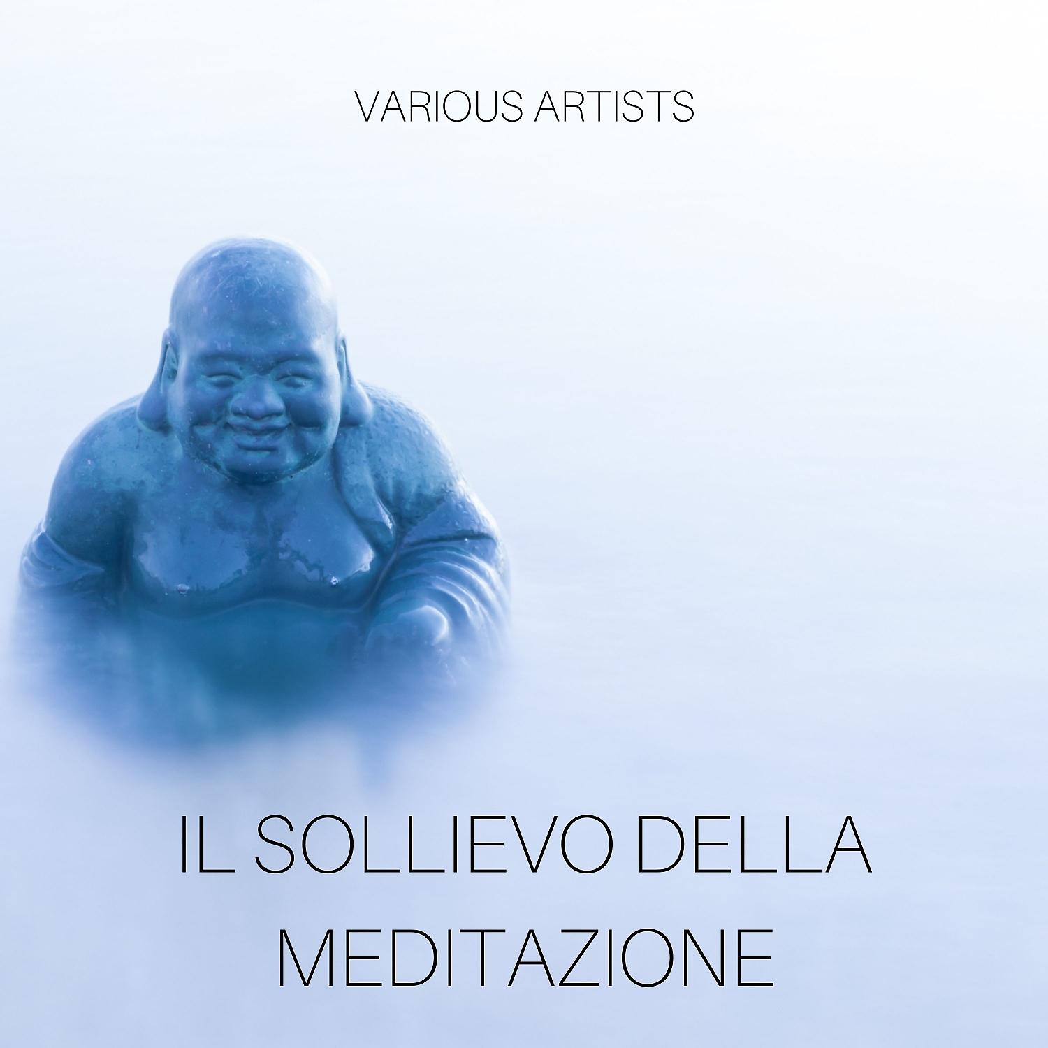 Постер альбома Il sollievo della meditazione