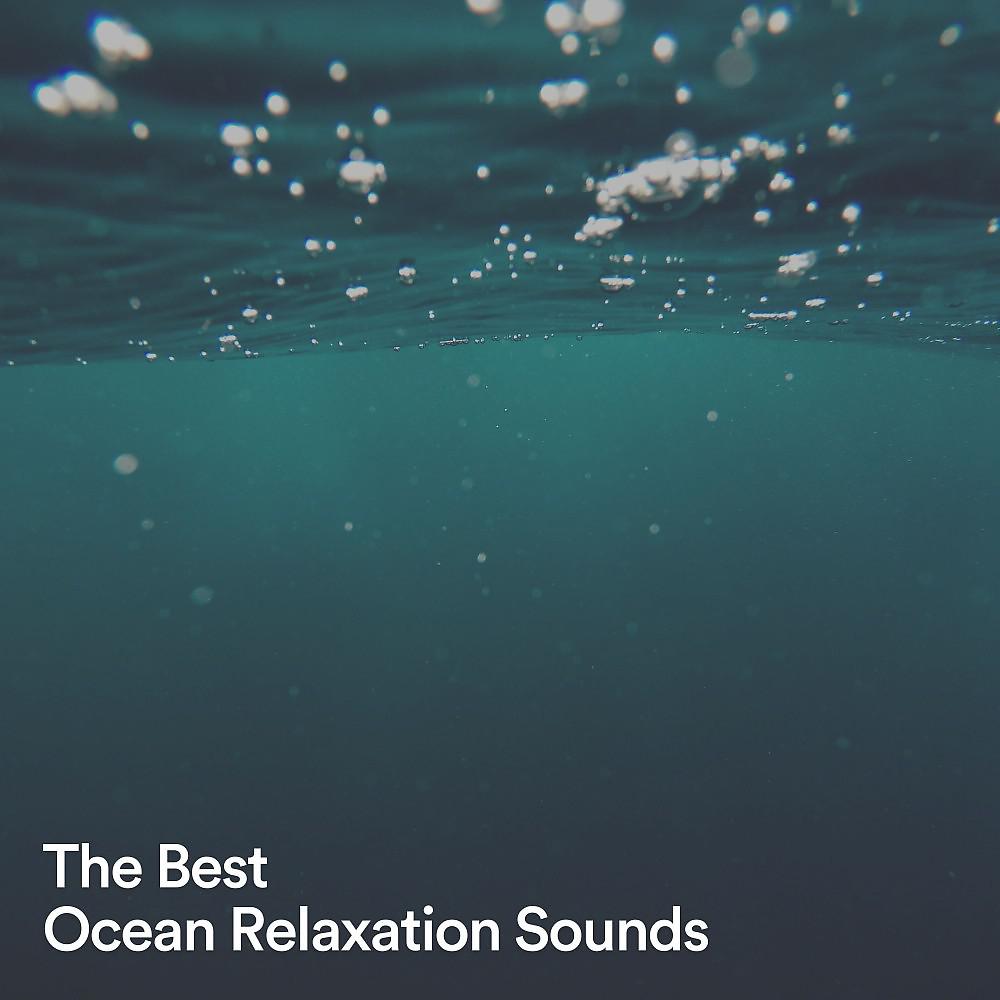 Постер альбома The Best Ocean Relaxation Sounds