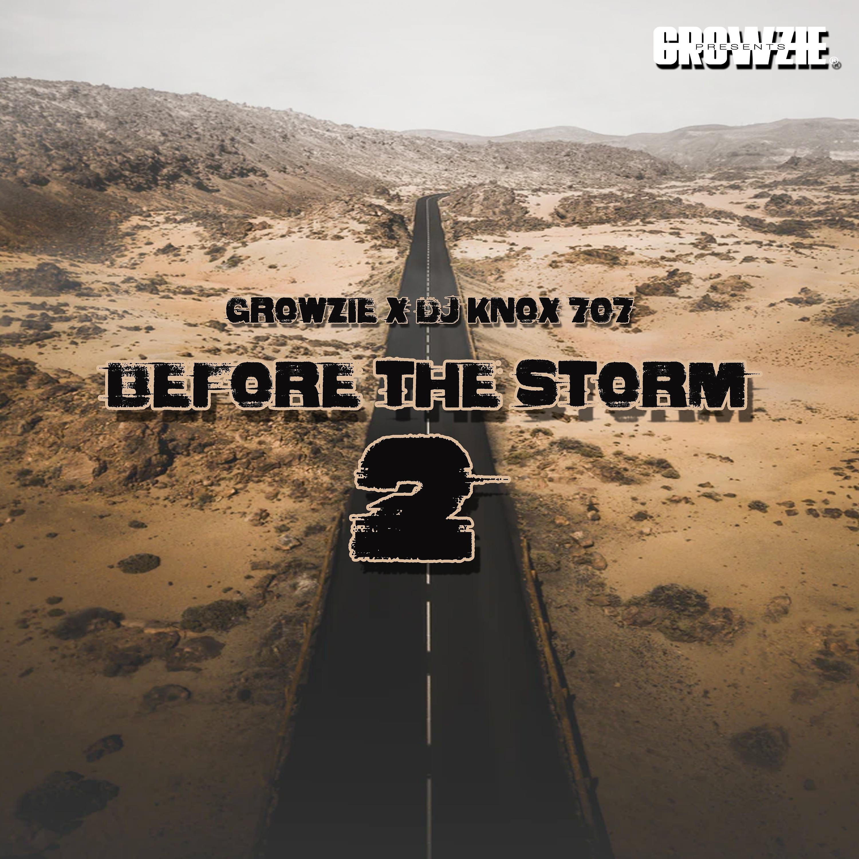 Постер альбома Before The Storm 2