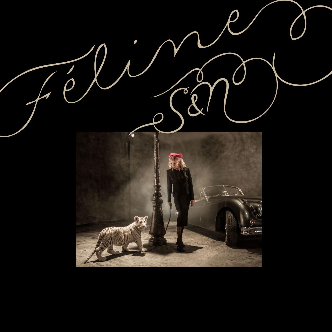 Постер альбома Féline