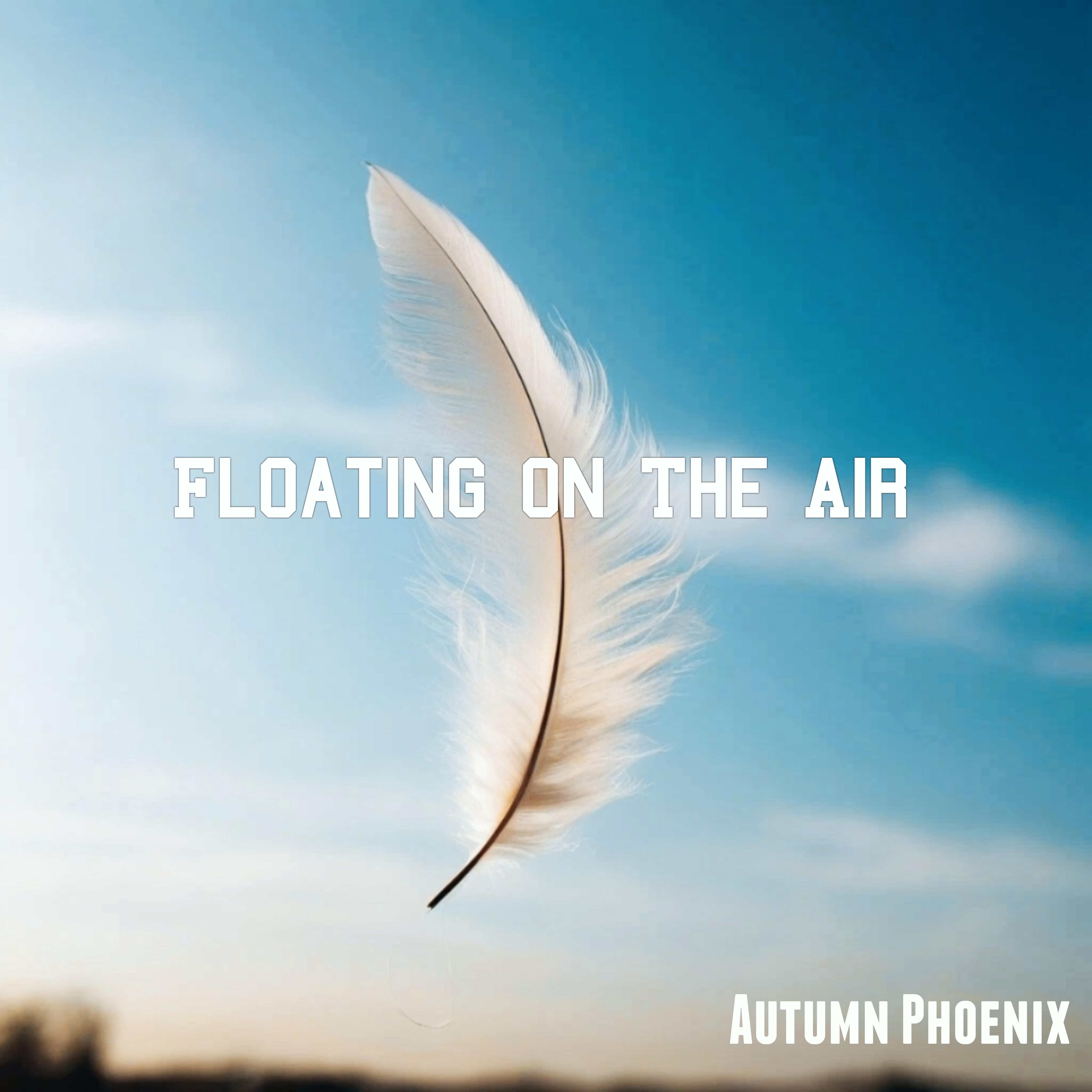 Постер альбома Floating on the Air