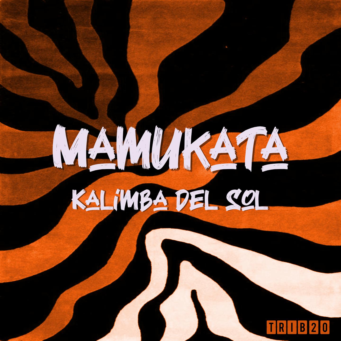 Постер альбома Kalimba del Sol