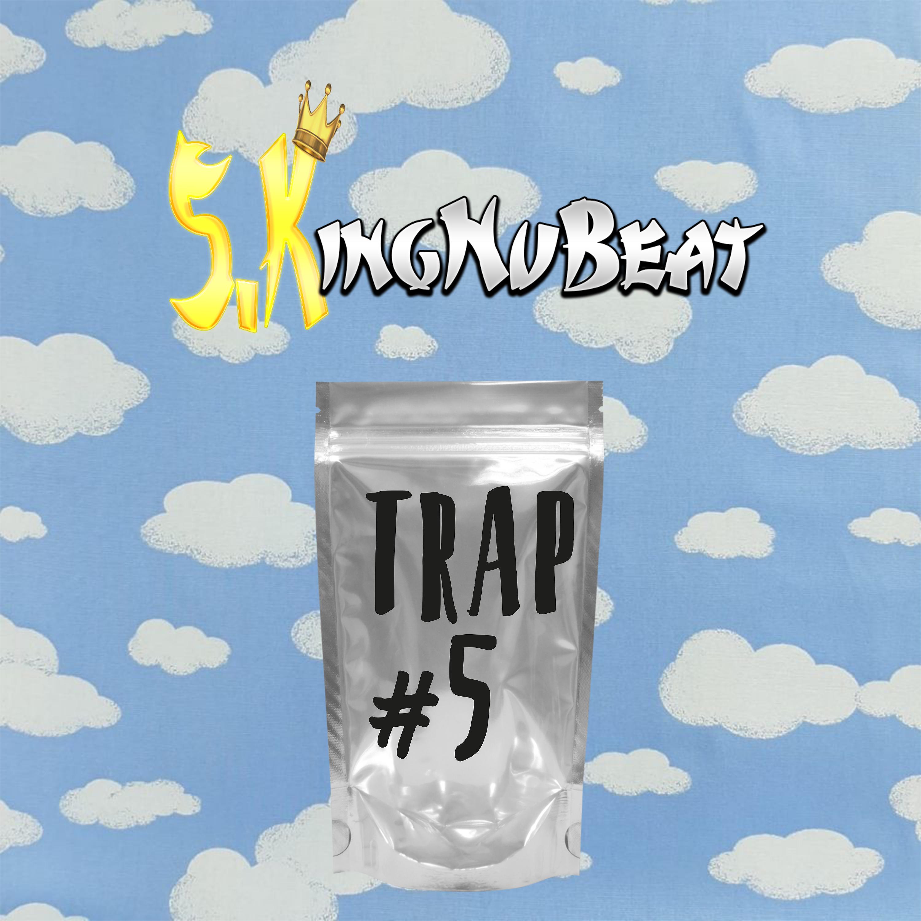 Постер альбома Trap #5