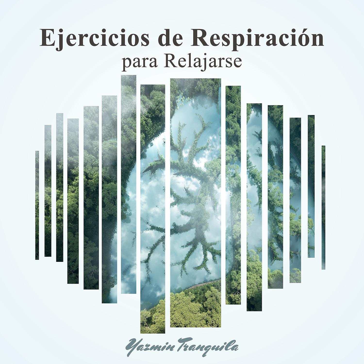 Постер альбома Ejercicios de Respiracion para Relajarse - Posturas Yoga Principiantes & Bikram Yoga - Mudras de Yoga