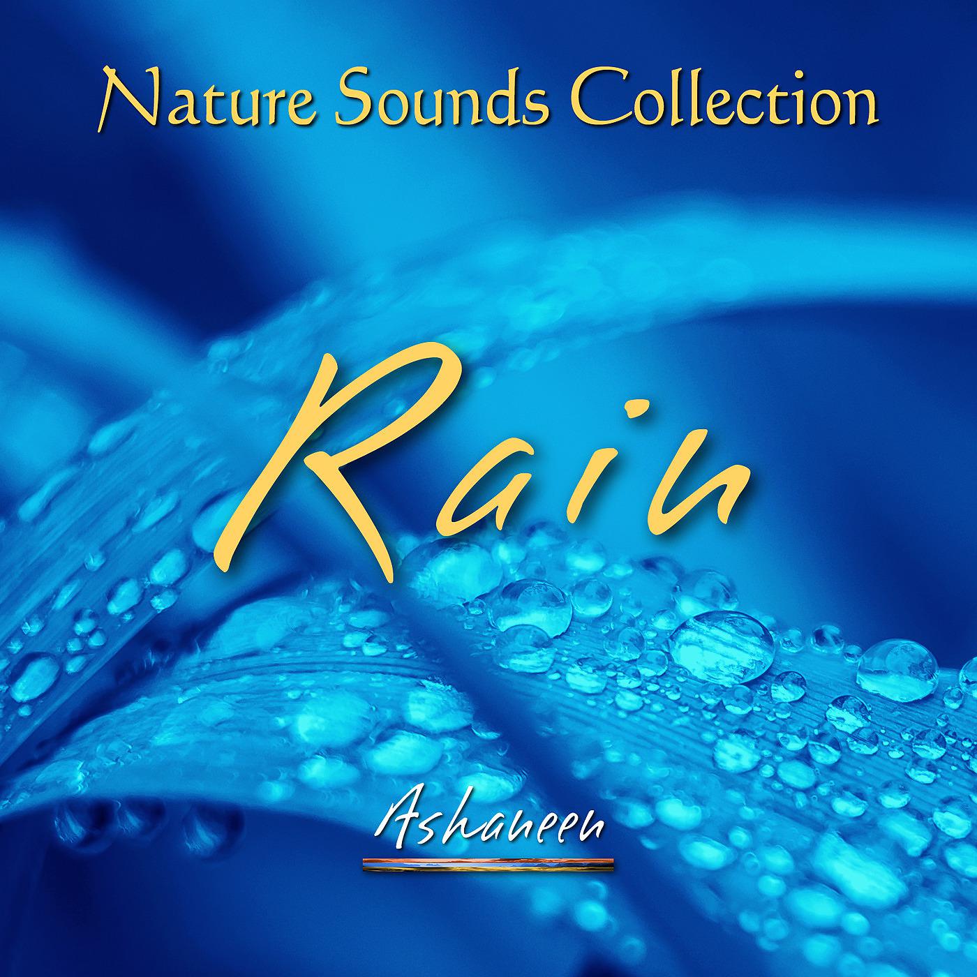Постер альбома Nature Sounds Collection: Rain