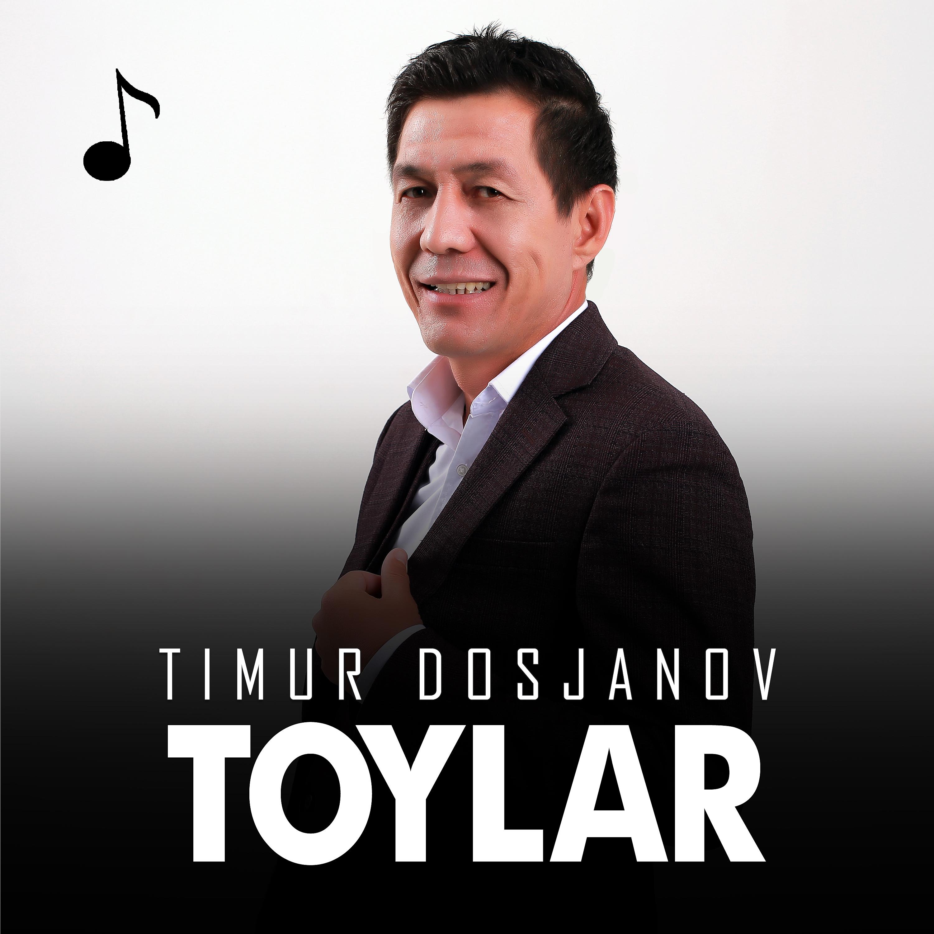 Постер альбома Toylar