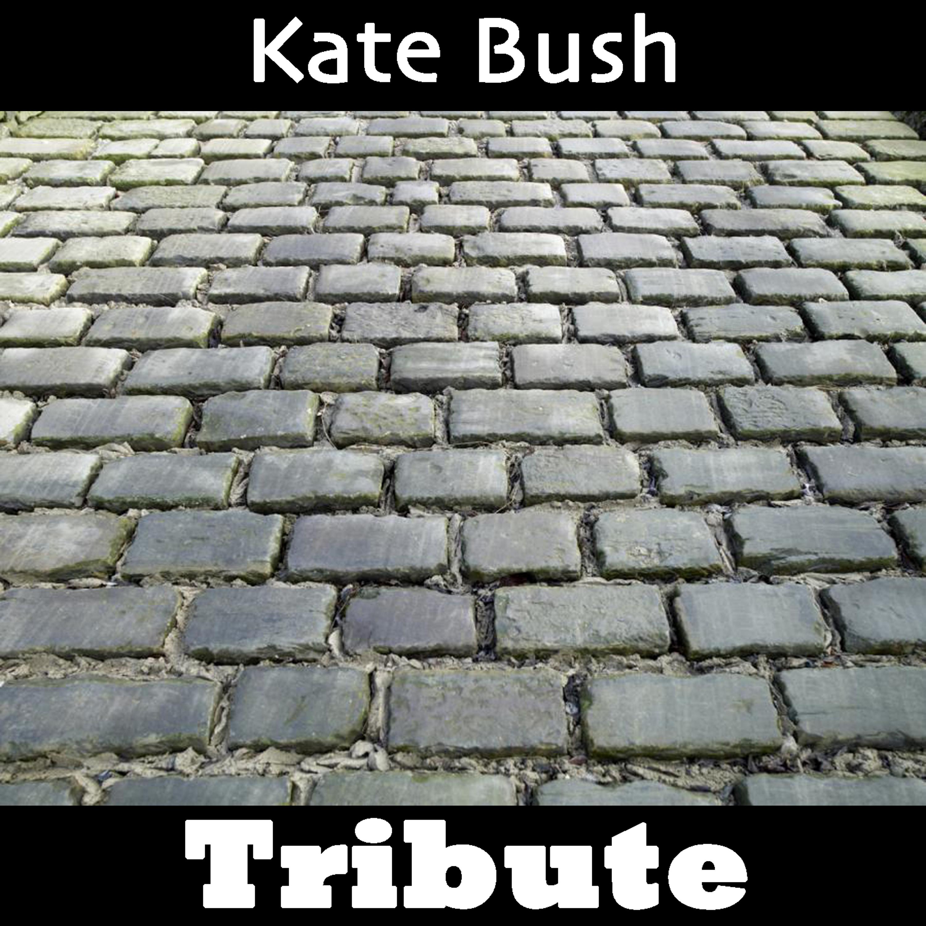 Постер альбома Wow: Tribute To Kate Bush