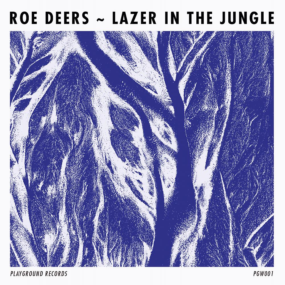 Постер альбома Lazer In The Jungle