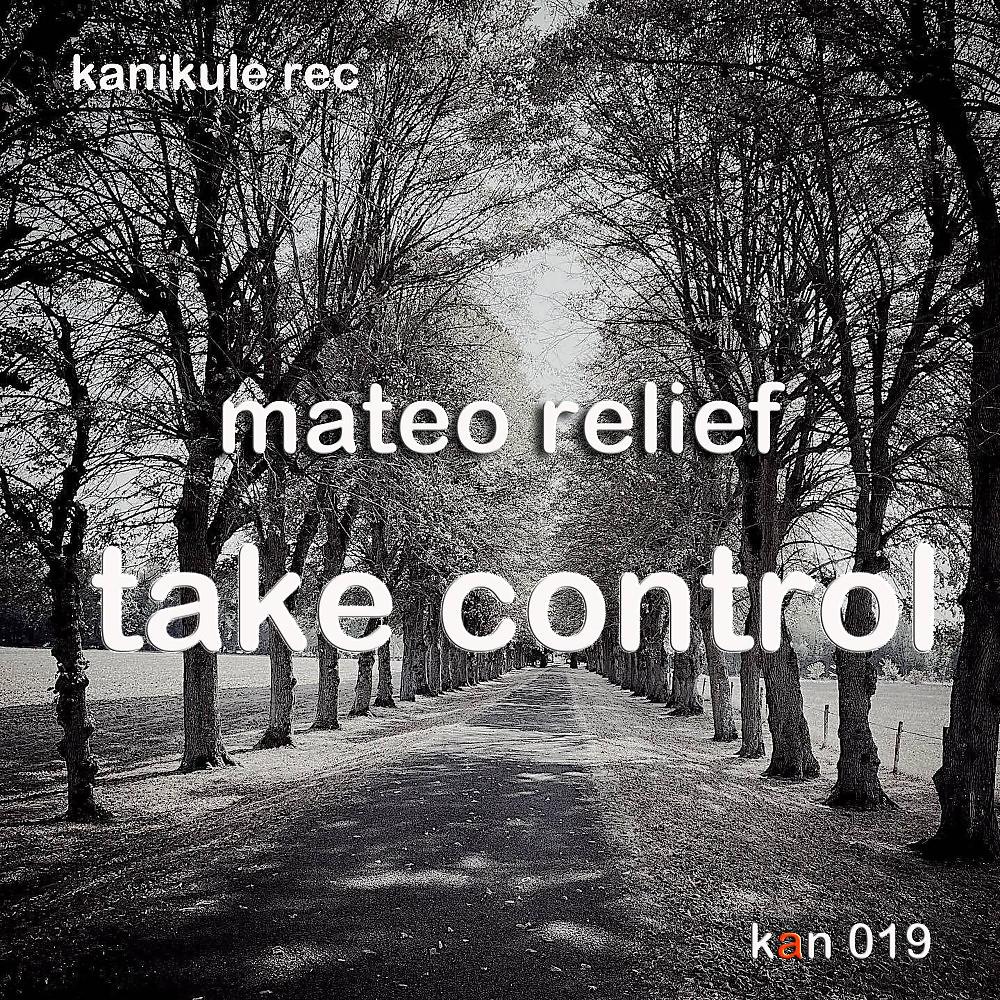Постер альбома Take Control (With Yanix Remix)