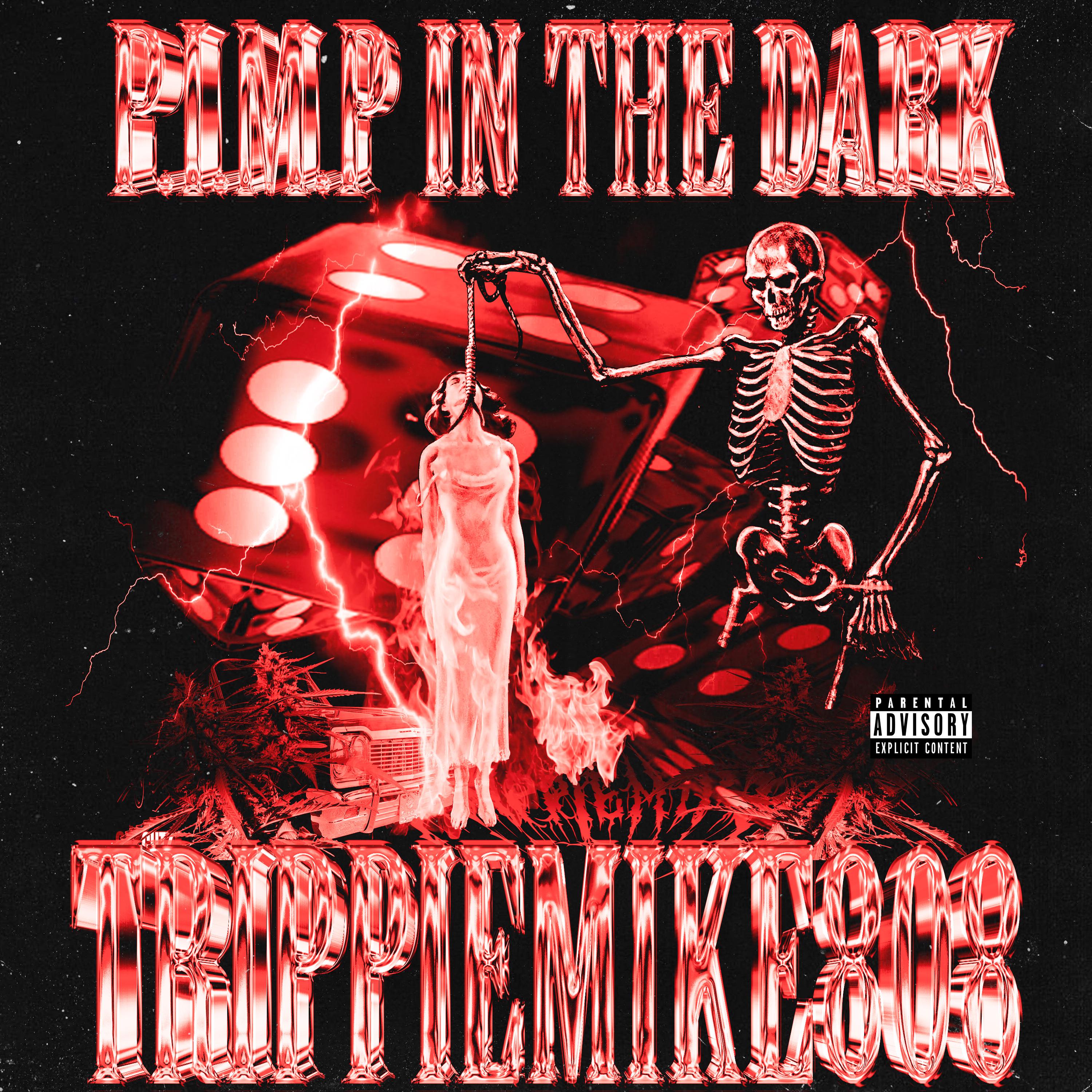 Постер альбома Pimp in the Dark