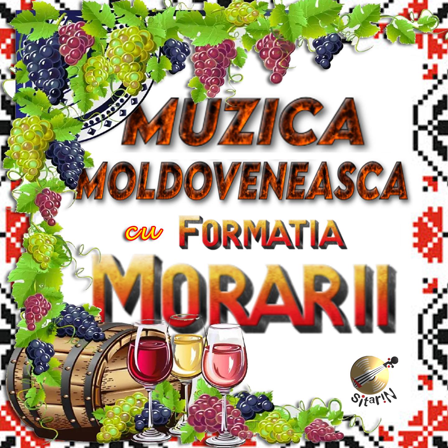 Постер альбома Muzica Moldoveneasca