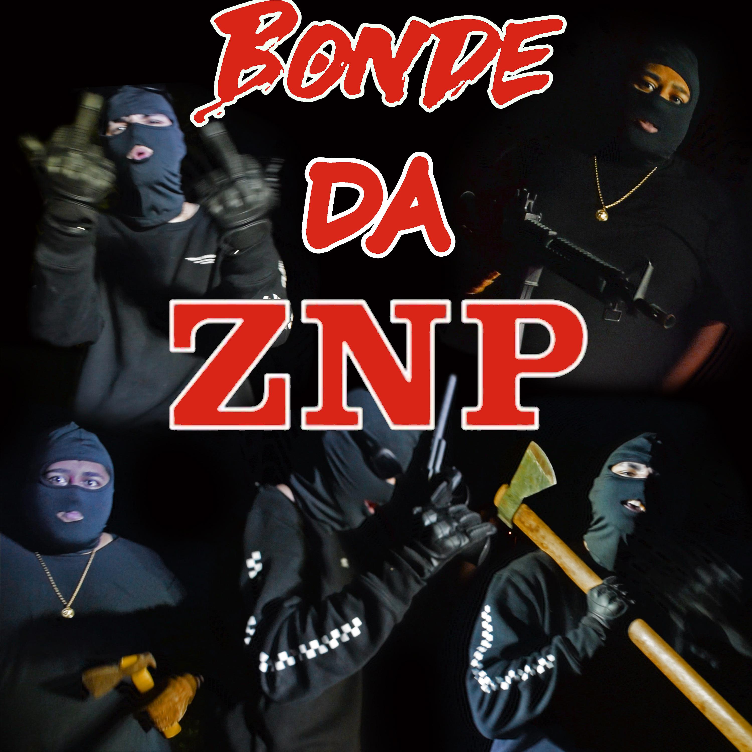 Постер альбома Bonde da Znp