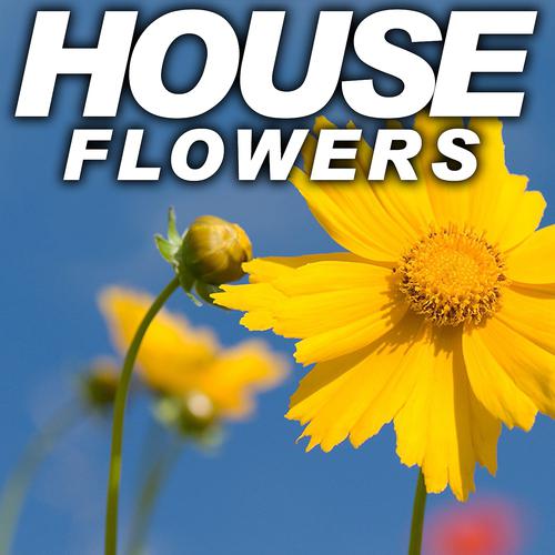 Постер альбома House Flowers