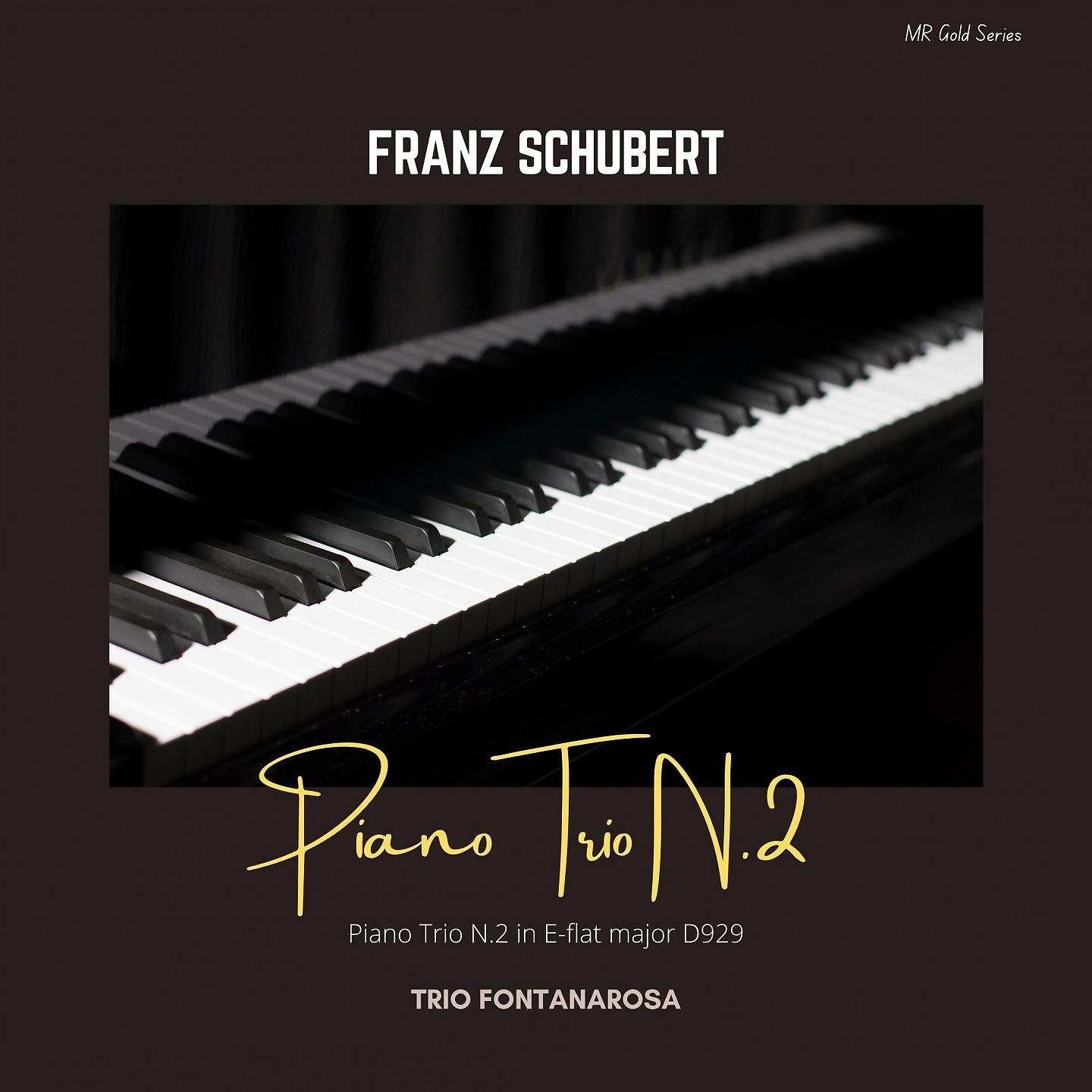 Постер альбома Franz Schubert - Piano Trio No. 2, D. 929