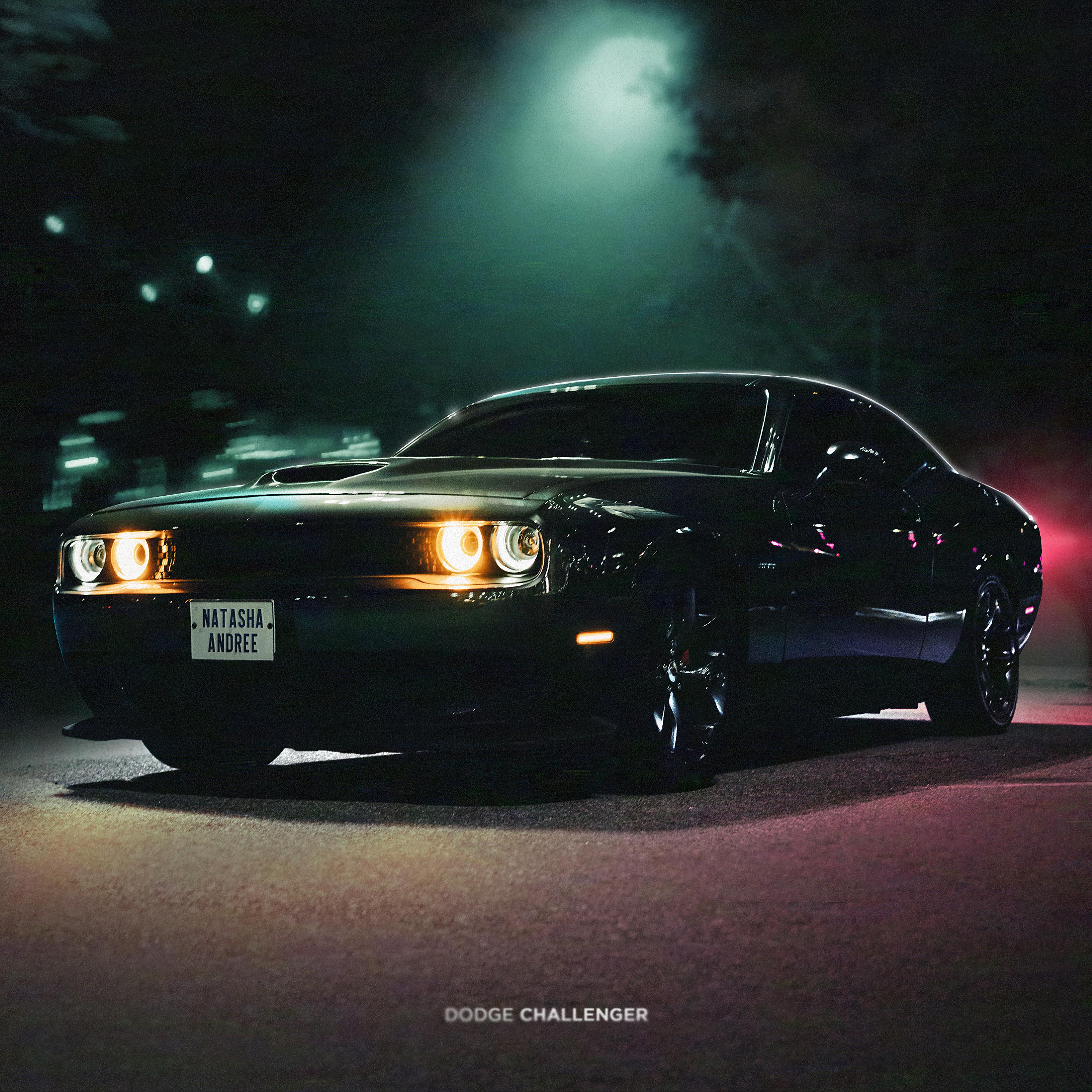 Постер альбома Dodge Challenger