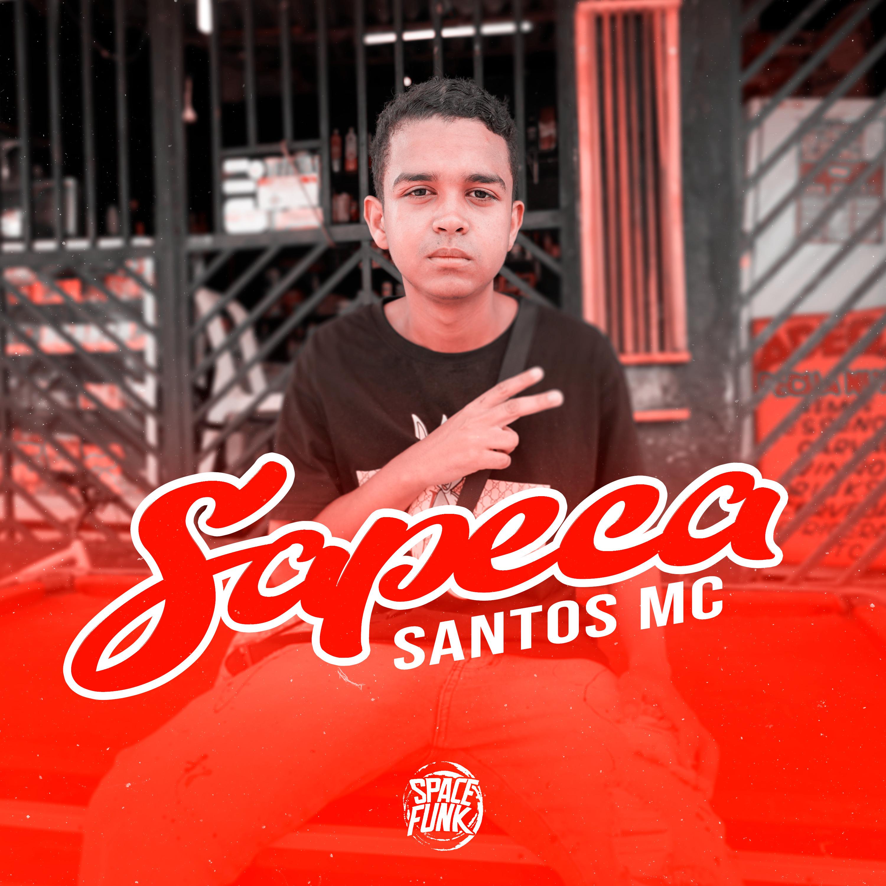 Постер альбома Sapeca