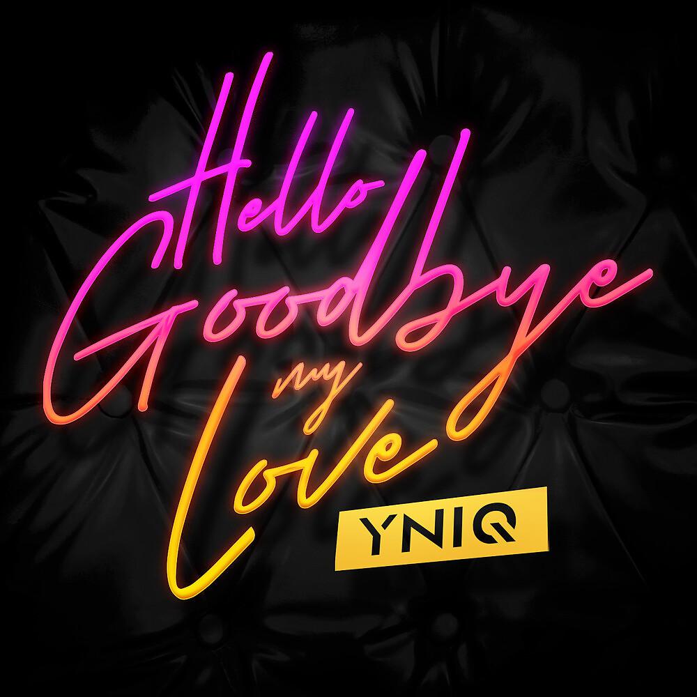 Постер альбома Hello Goodbye My Love