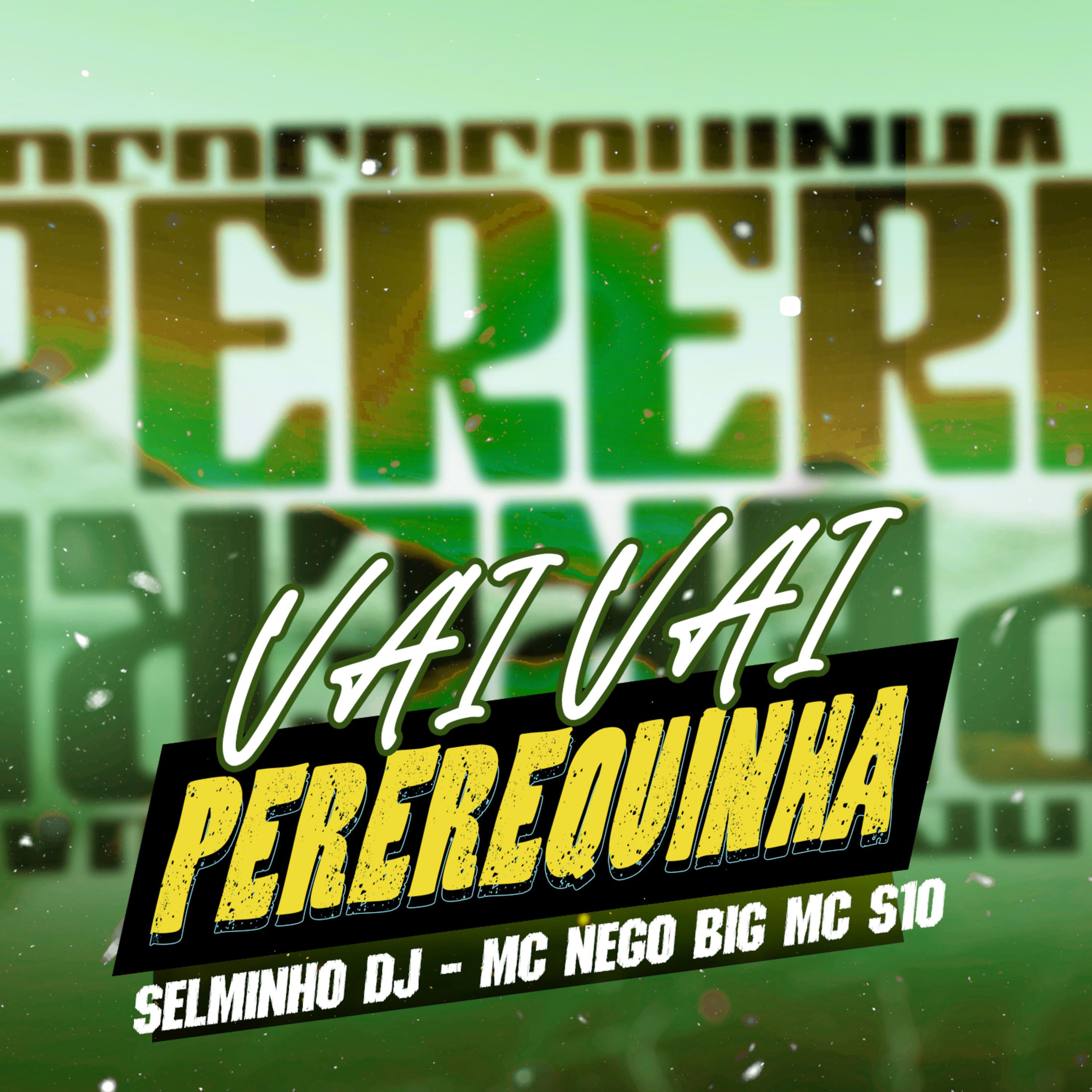 Постер альбома Vai Vai Pererequinha