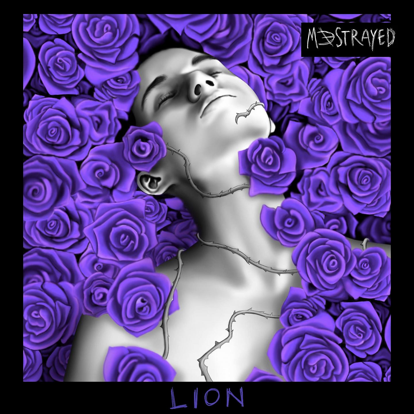 Постер альбома Lion