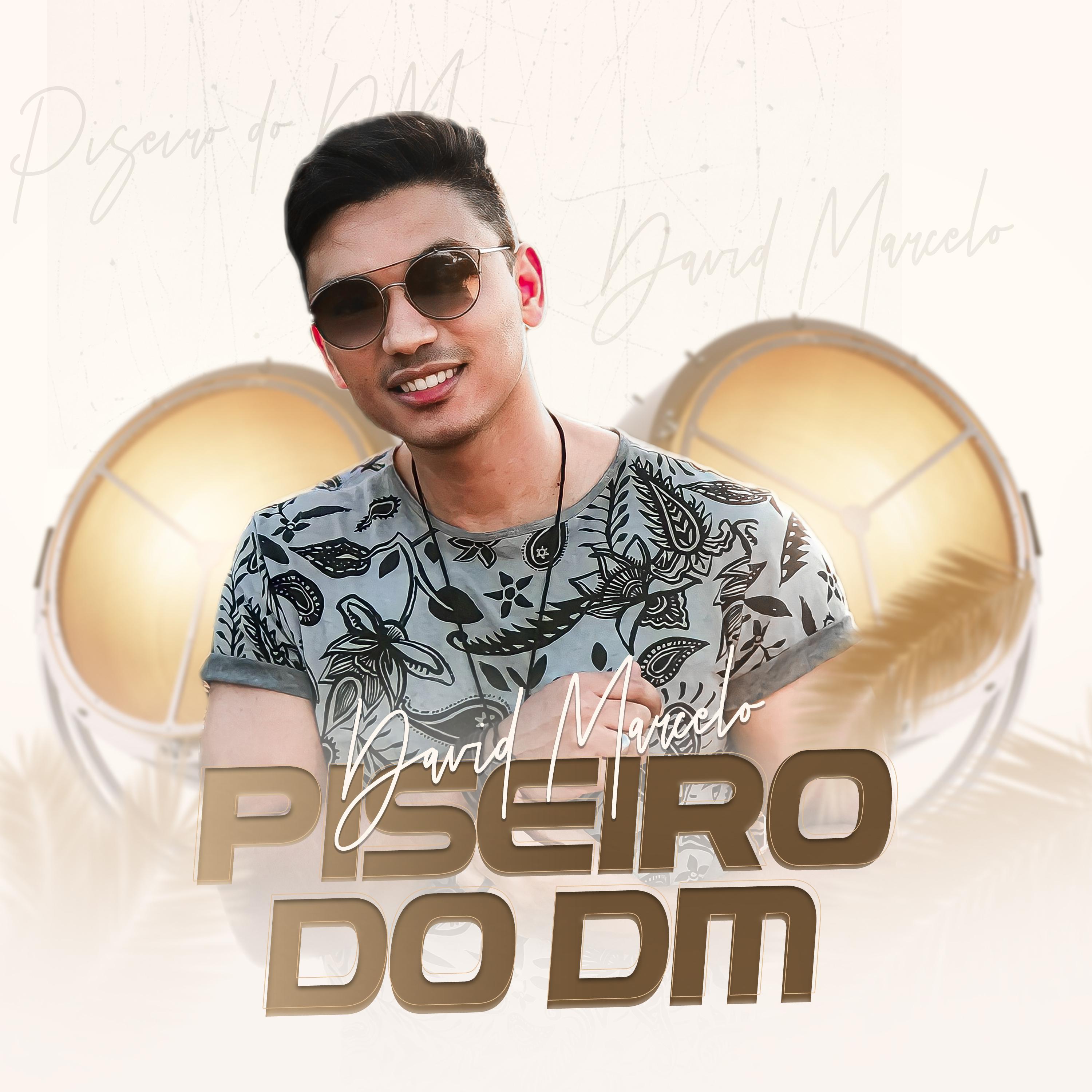 Постер альбома Piseiro do Dm 4