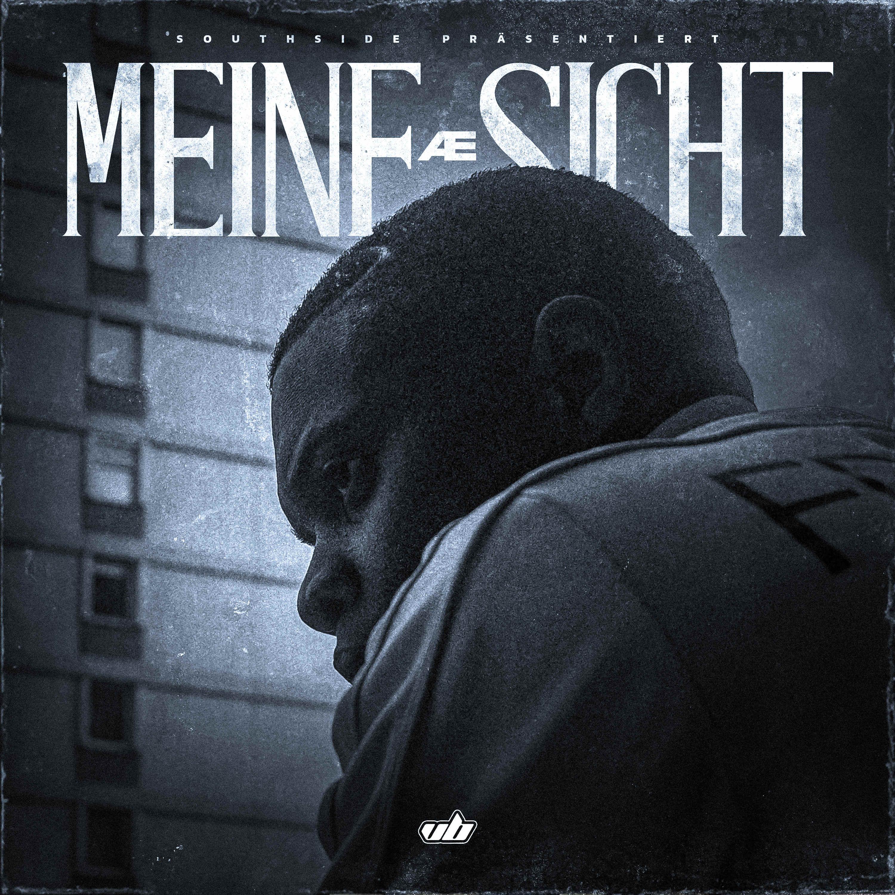 Постер альбома Meine Sicht
