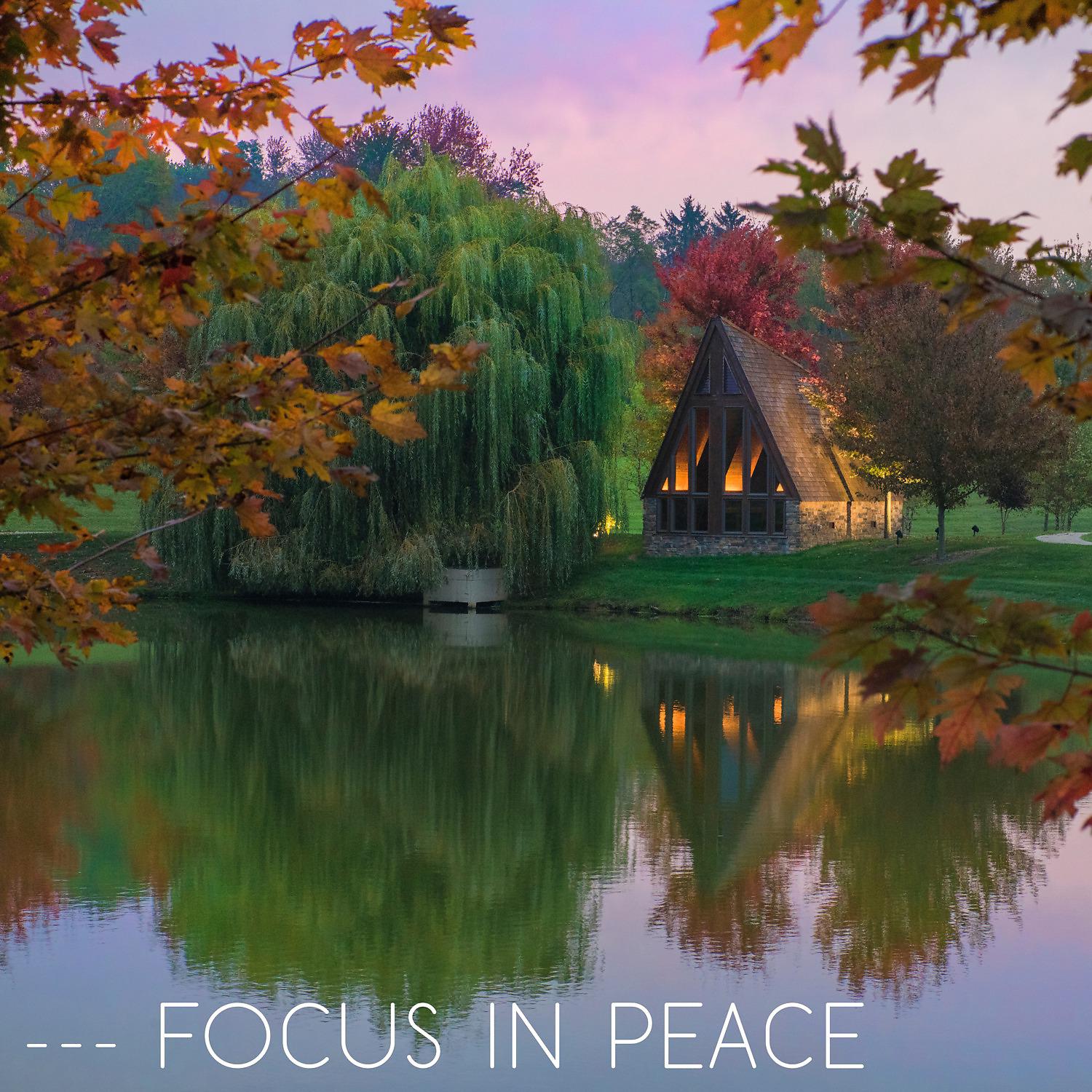 Постер альбома Focus in Peace