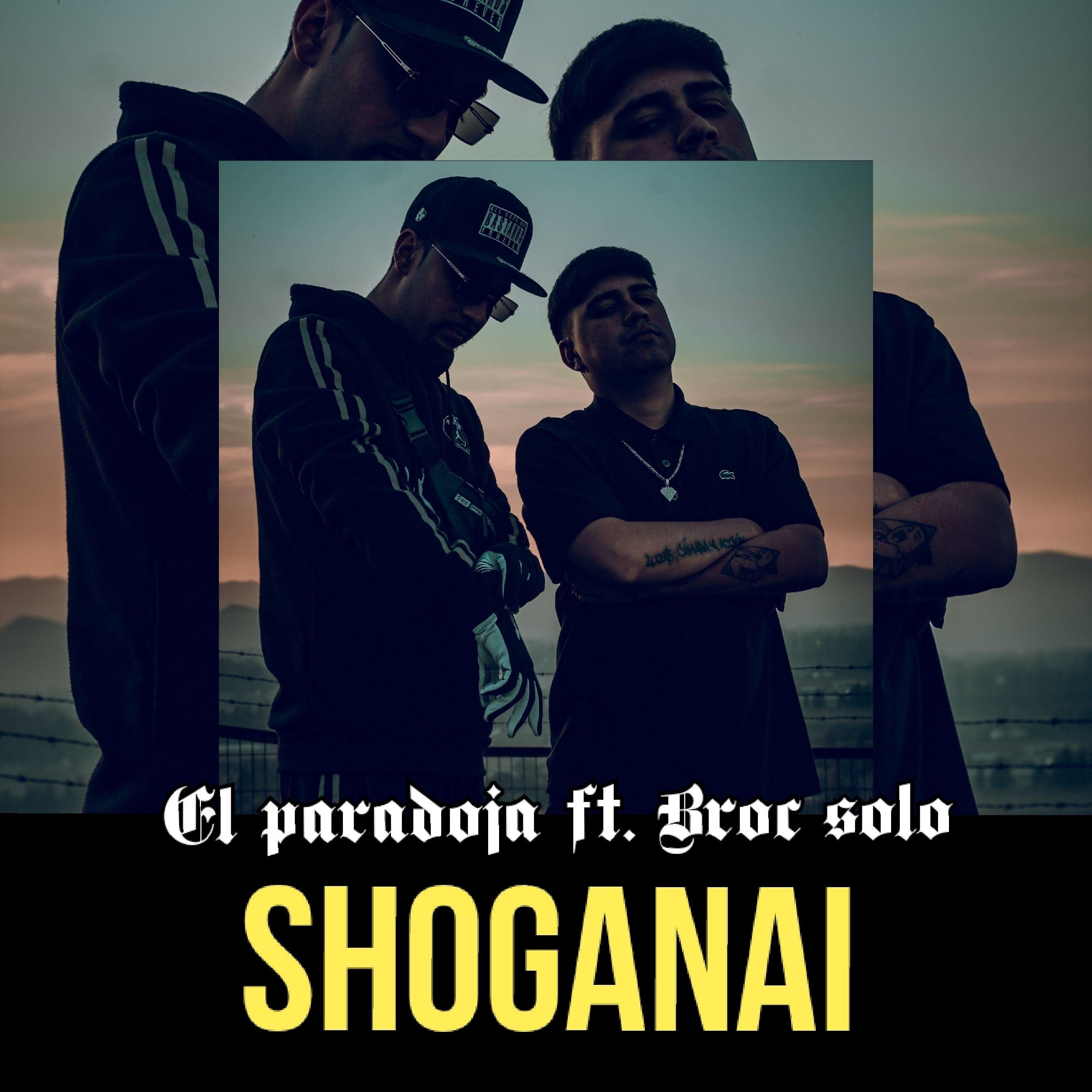 Постер альбома Shoganai