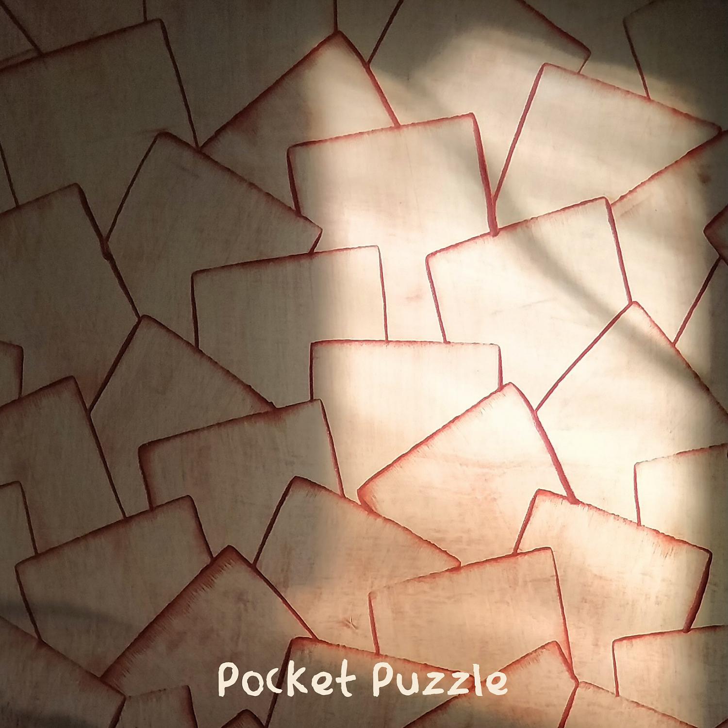 Постер альбома Pocket Puzzle