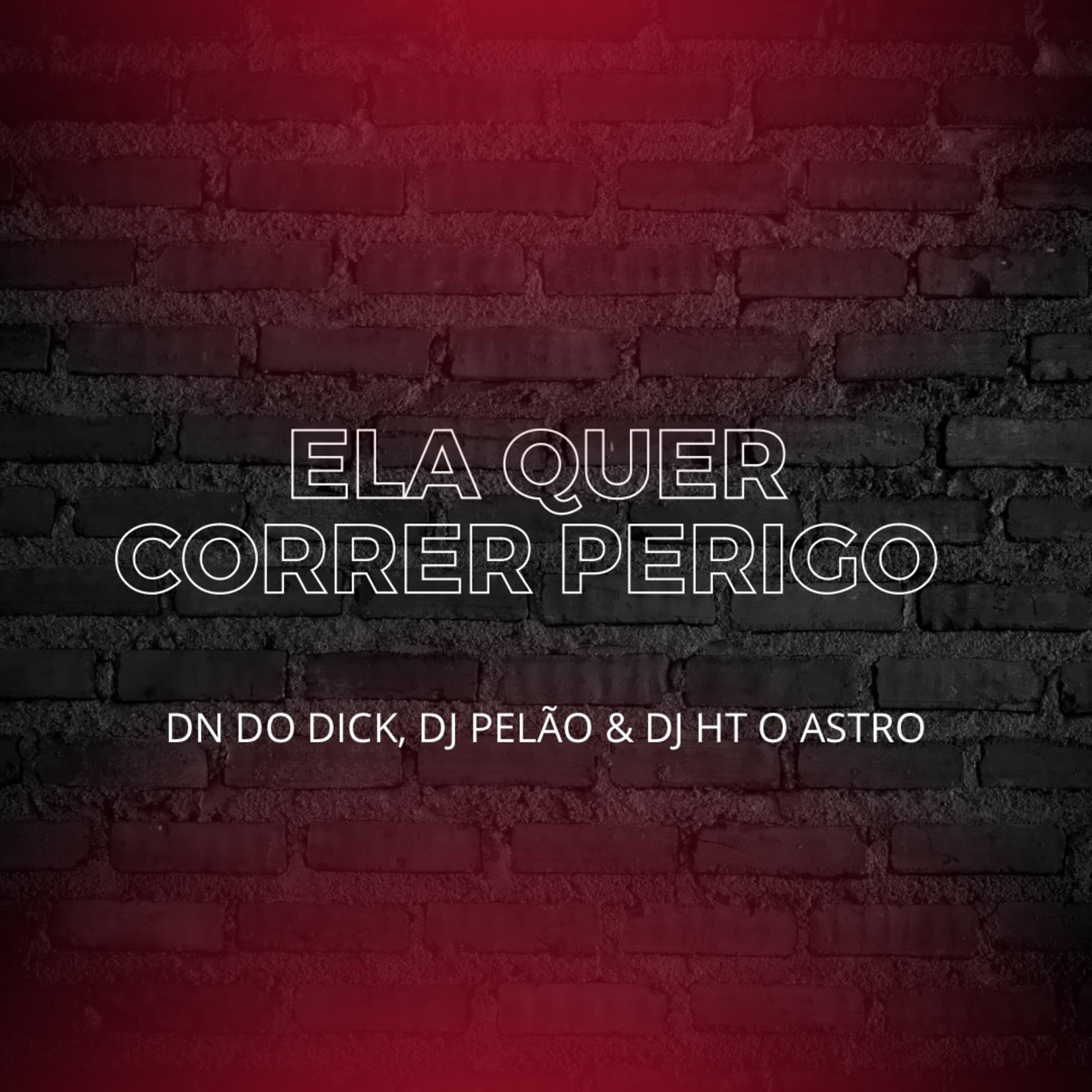 Постер альбома Ela Quer Correr Perigo